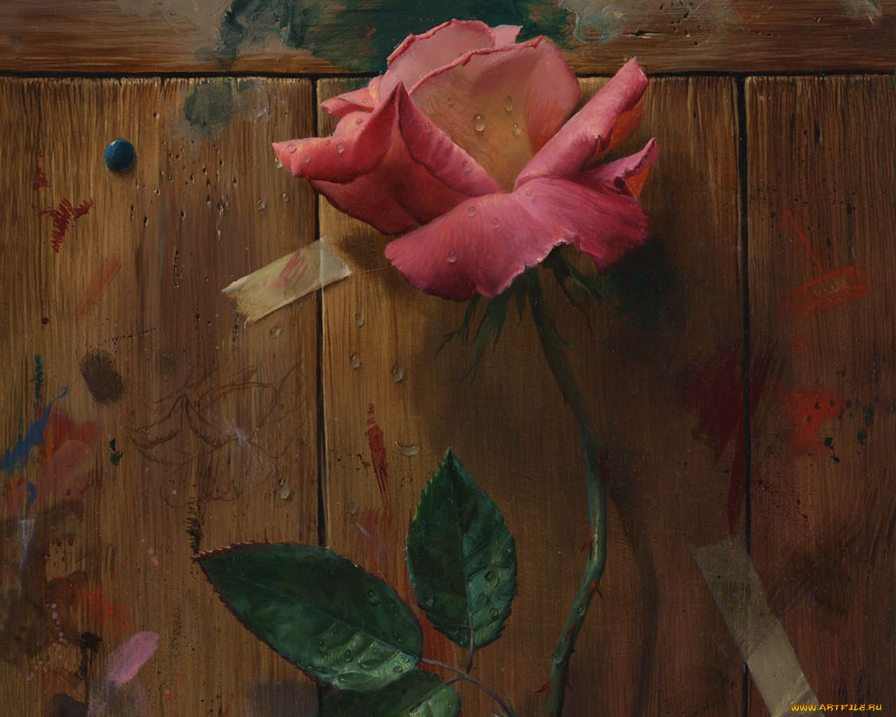 рисованные, цветы