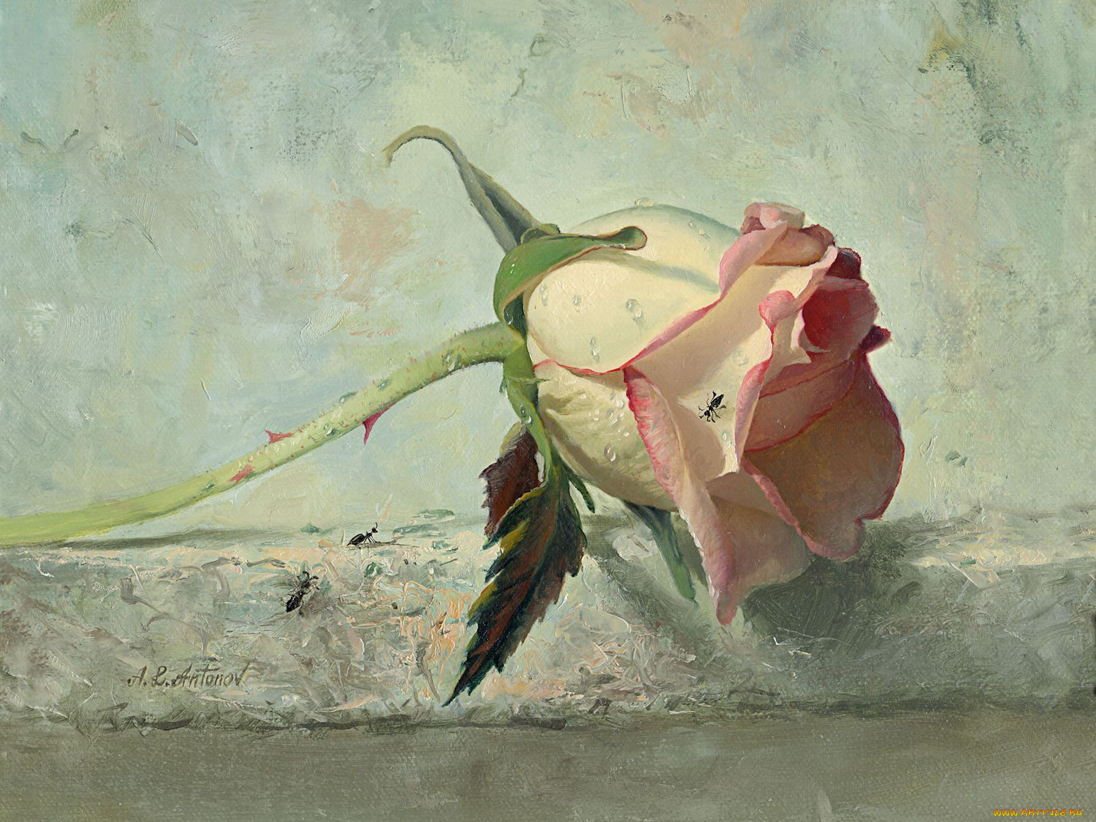 рисованные, цветы