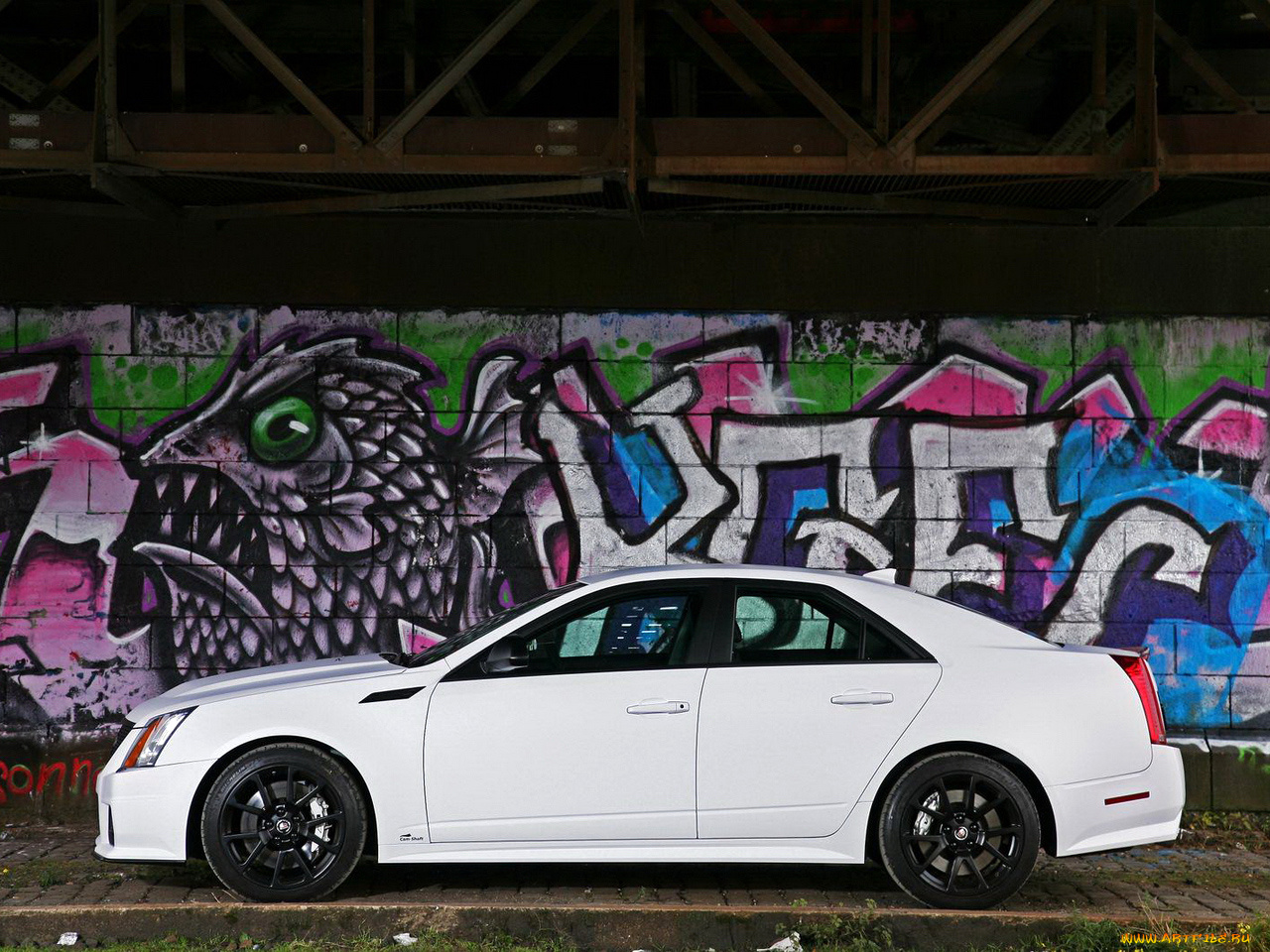 автомобили, cadillac