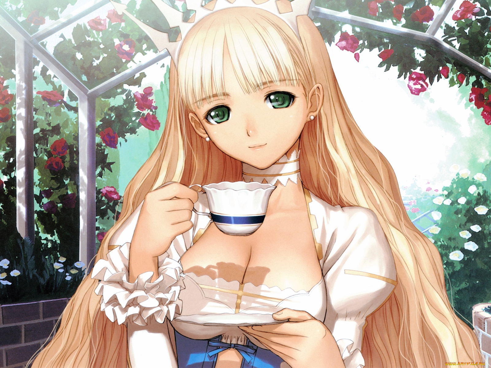 аниме, tony, taka, mangaka