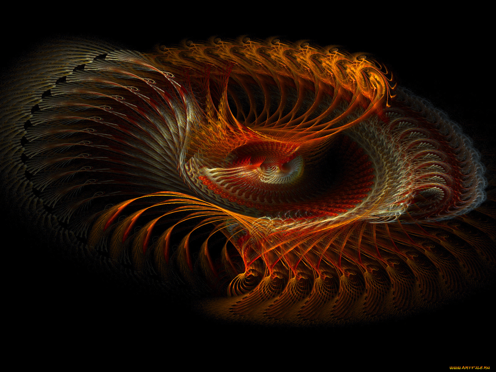 3д, графика, fractal, фракталы, узор, фон, тёмный, абстракция