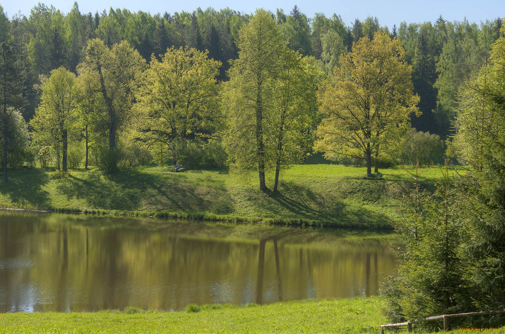 природа, реки, озера, лес, водоем
