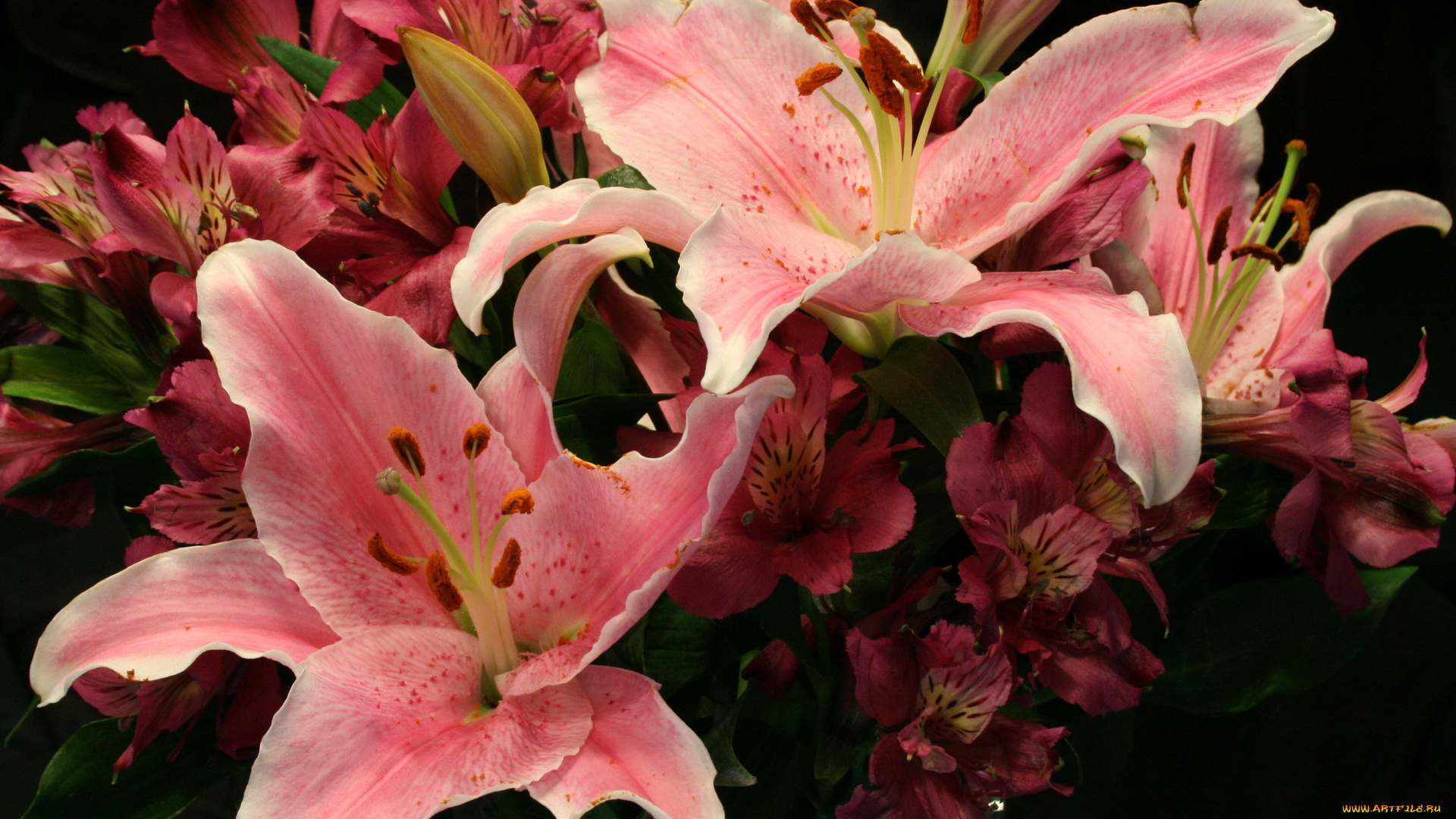 цветы, разные, вместе, лилии