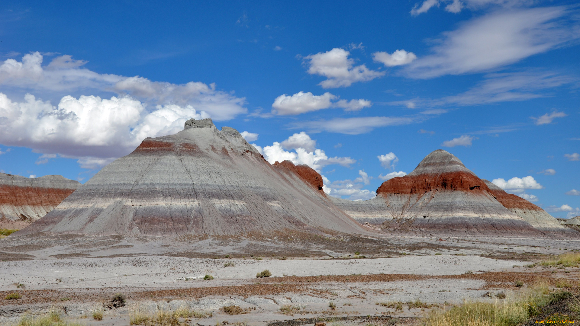 petrified, forest, national, park, природа, горы, камни, трава, вершины