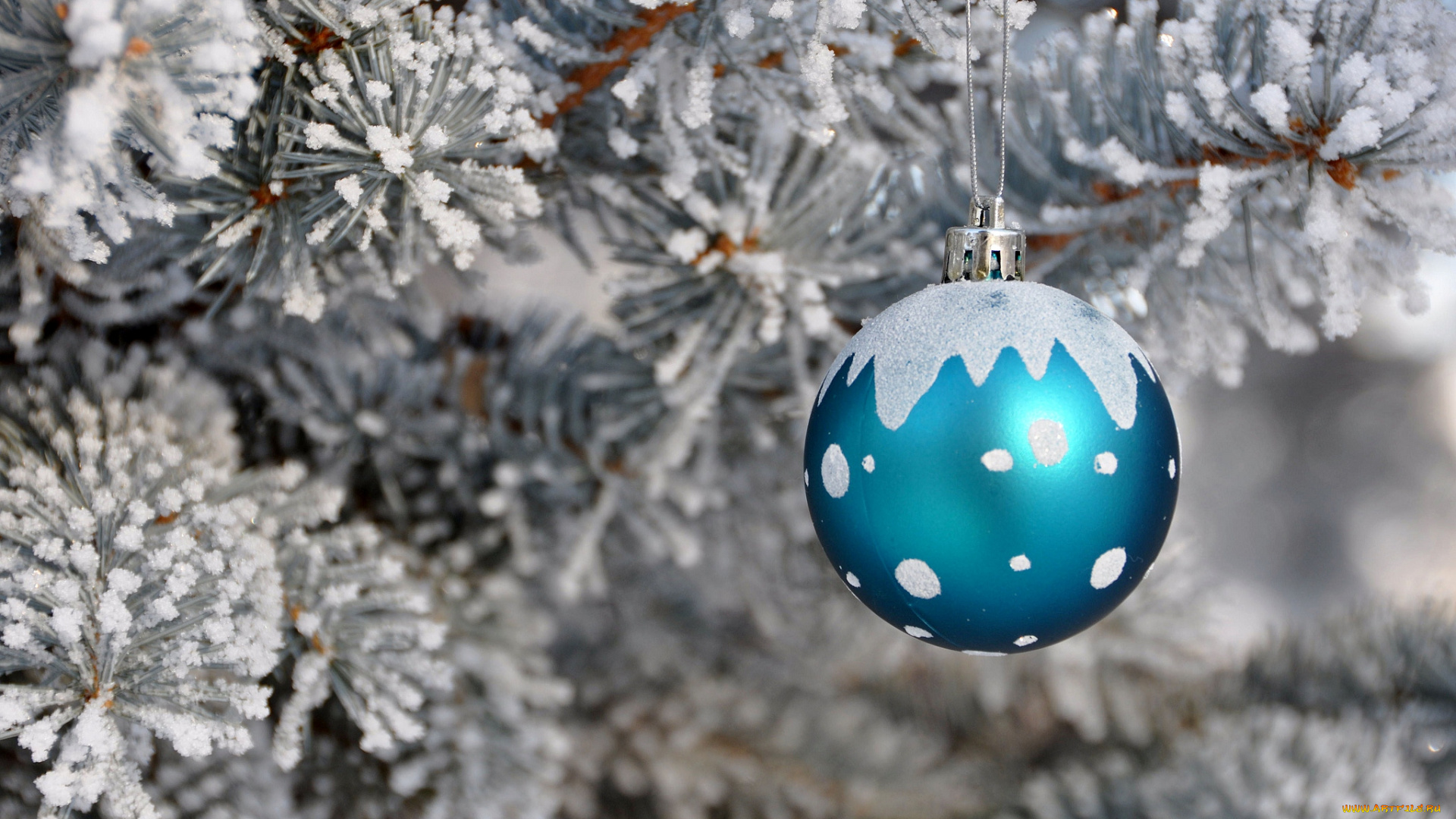 праздничные, шарики, елка, снег, шарик