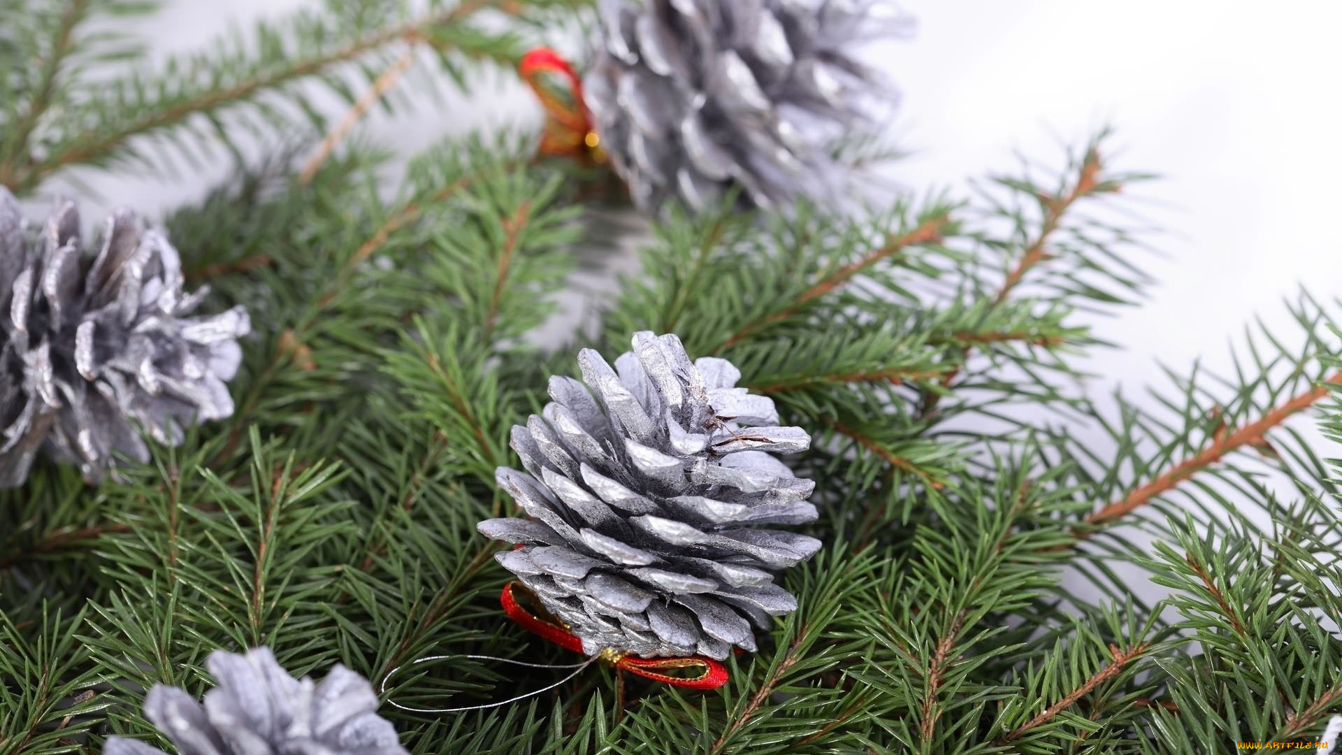 праздничные, украшения, еловая, ветка, шишки