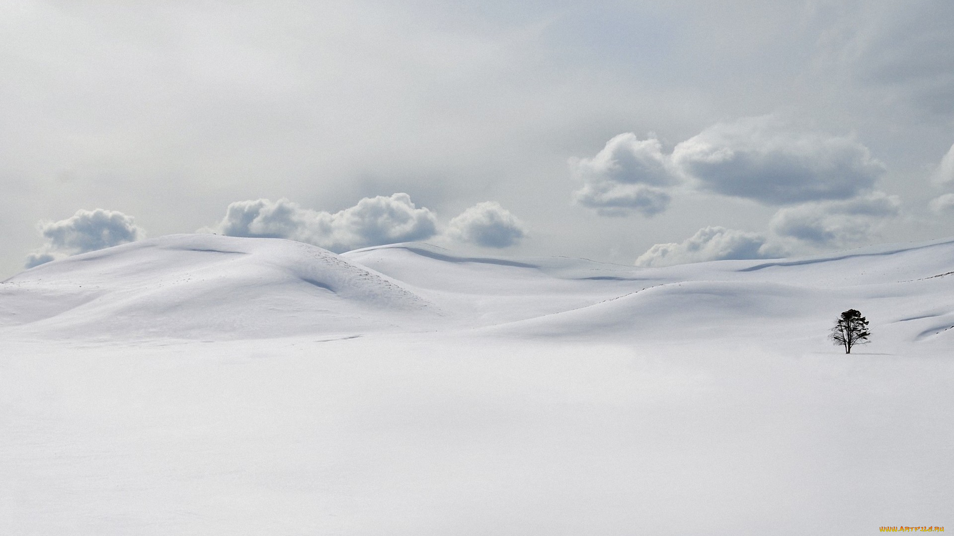 природа, зима, облака, сугробы, дерево, снег
