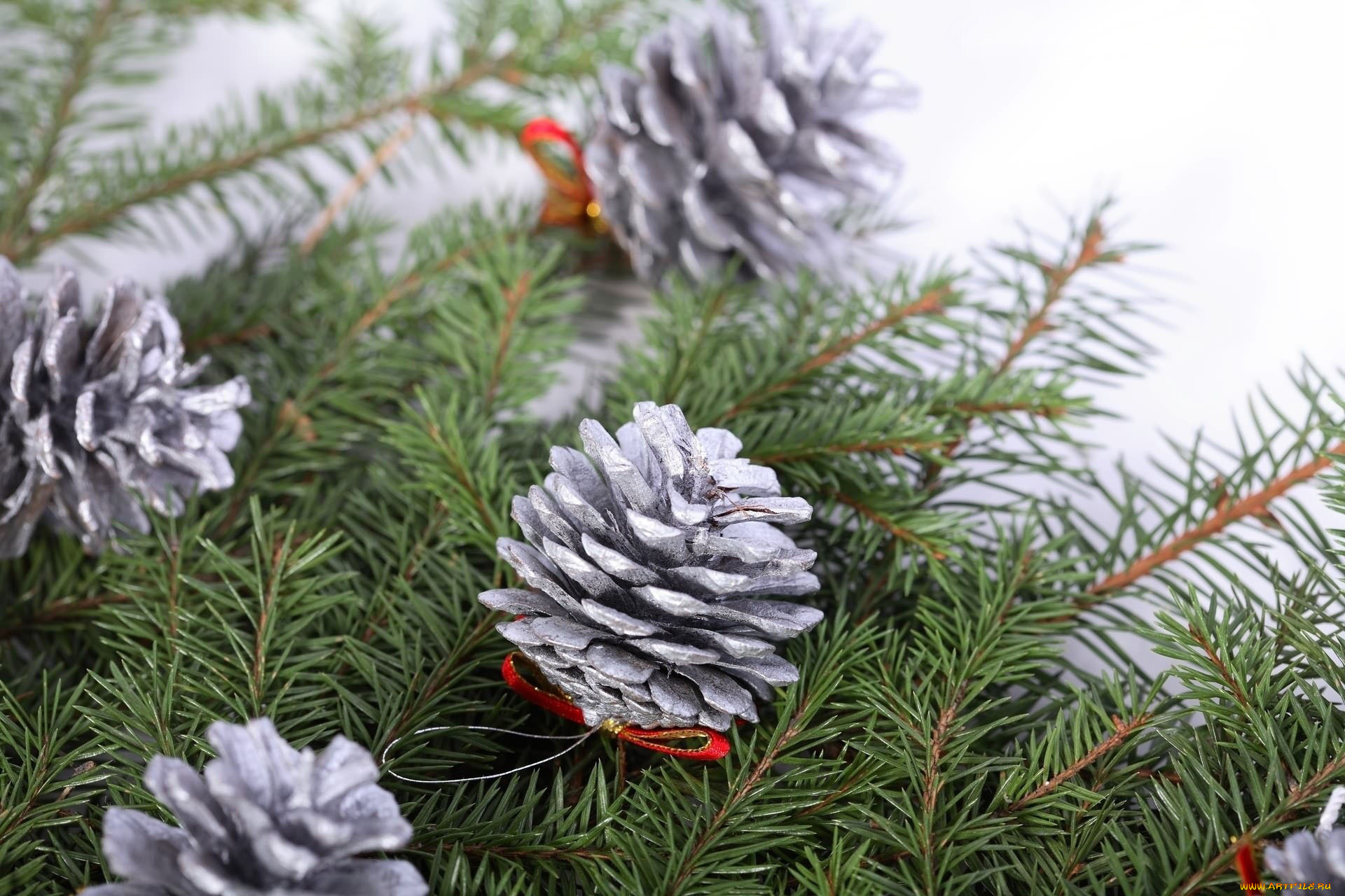 праздничные, украшения, еловая, ветка, шишки