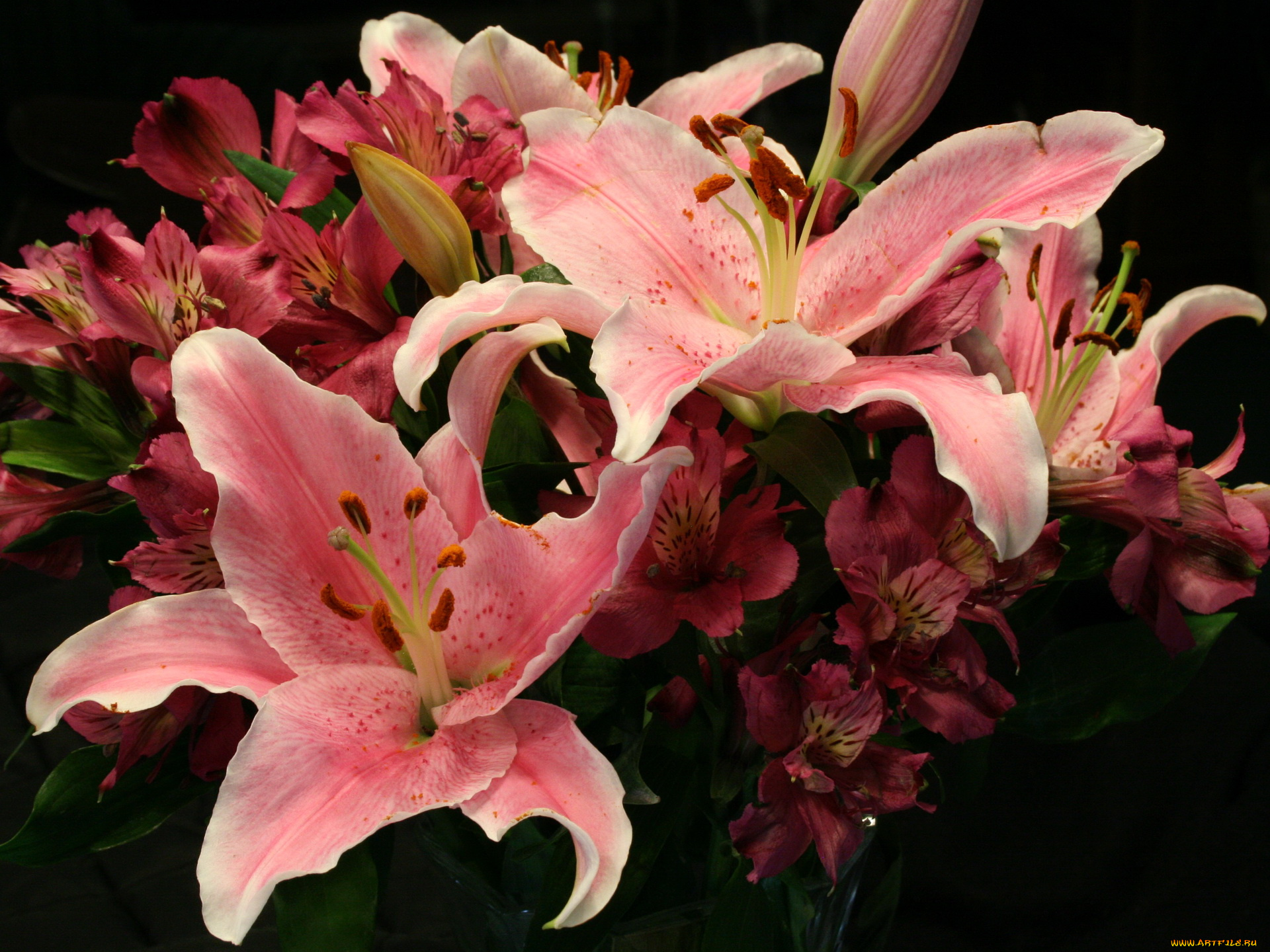 цветы, разные, вместе, лилии