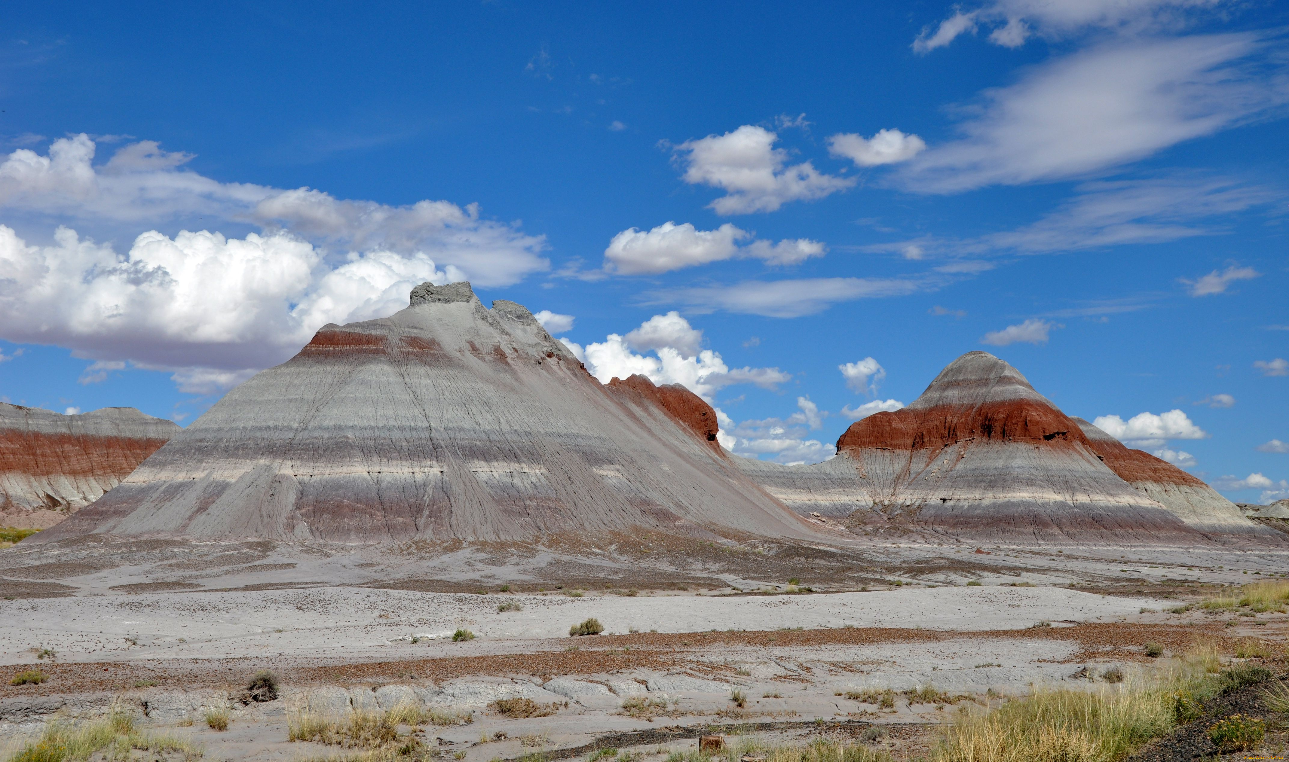 petrified, forest, national, park, природа, горы, камни, трава, вершины