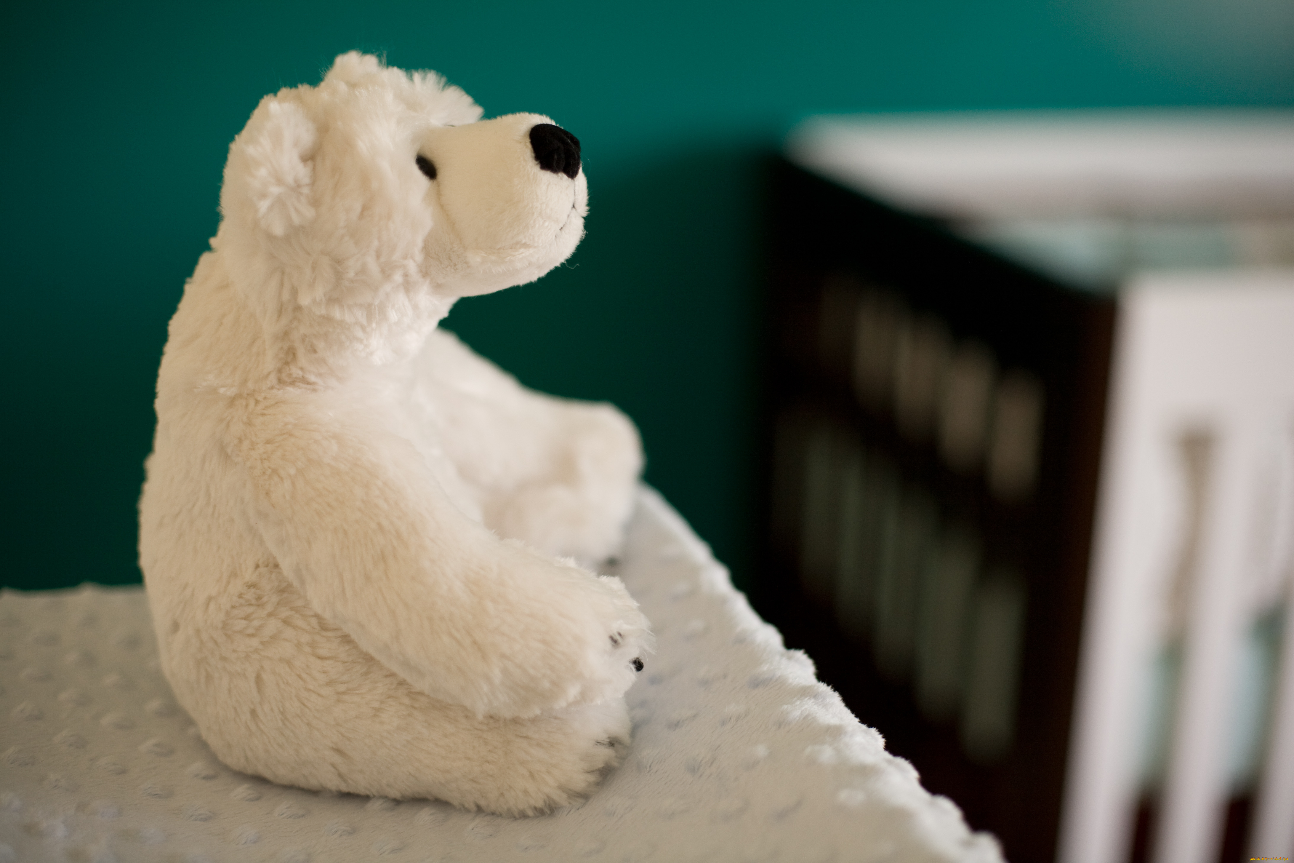 разное, игрушки, игрушка, ткань, медведь