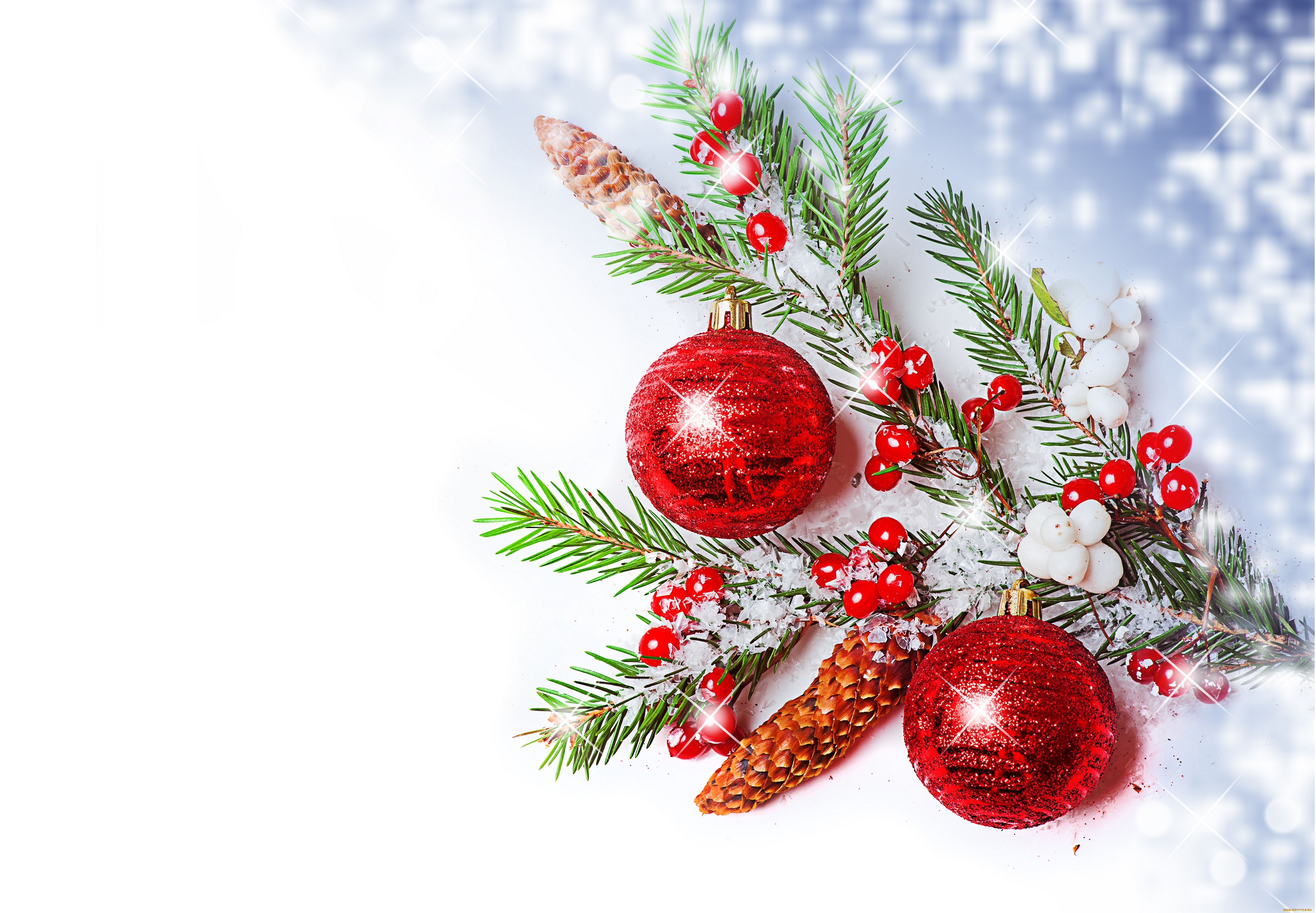 праздничные, разное, новый, год, ветка, шарики, шишки, ягоды