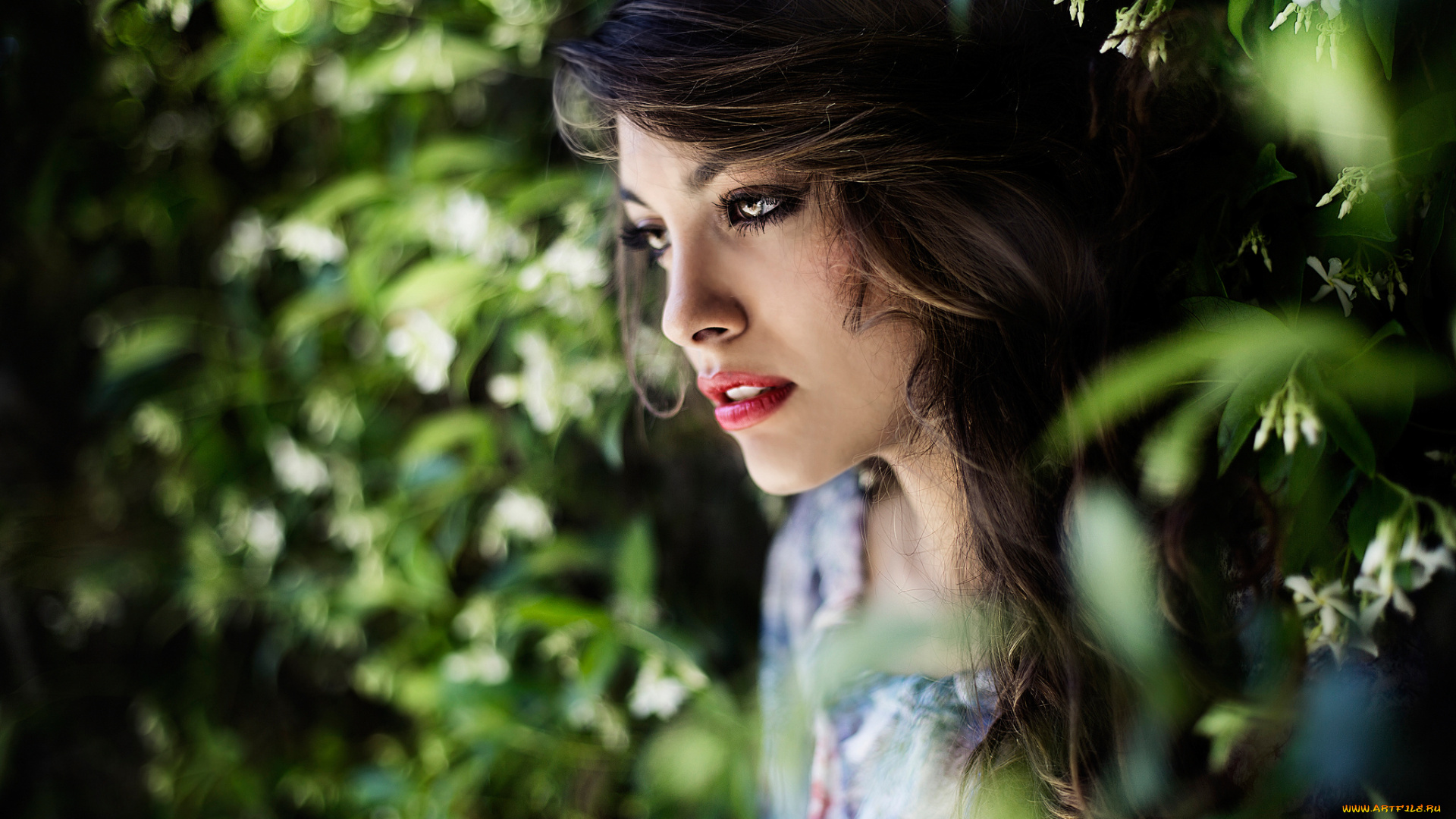 шикарная, брюнетка, девушки, -unsort, , лица, , портреты, голубка, красивая, брюнетка, шикарная, нежная