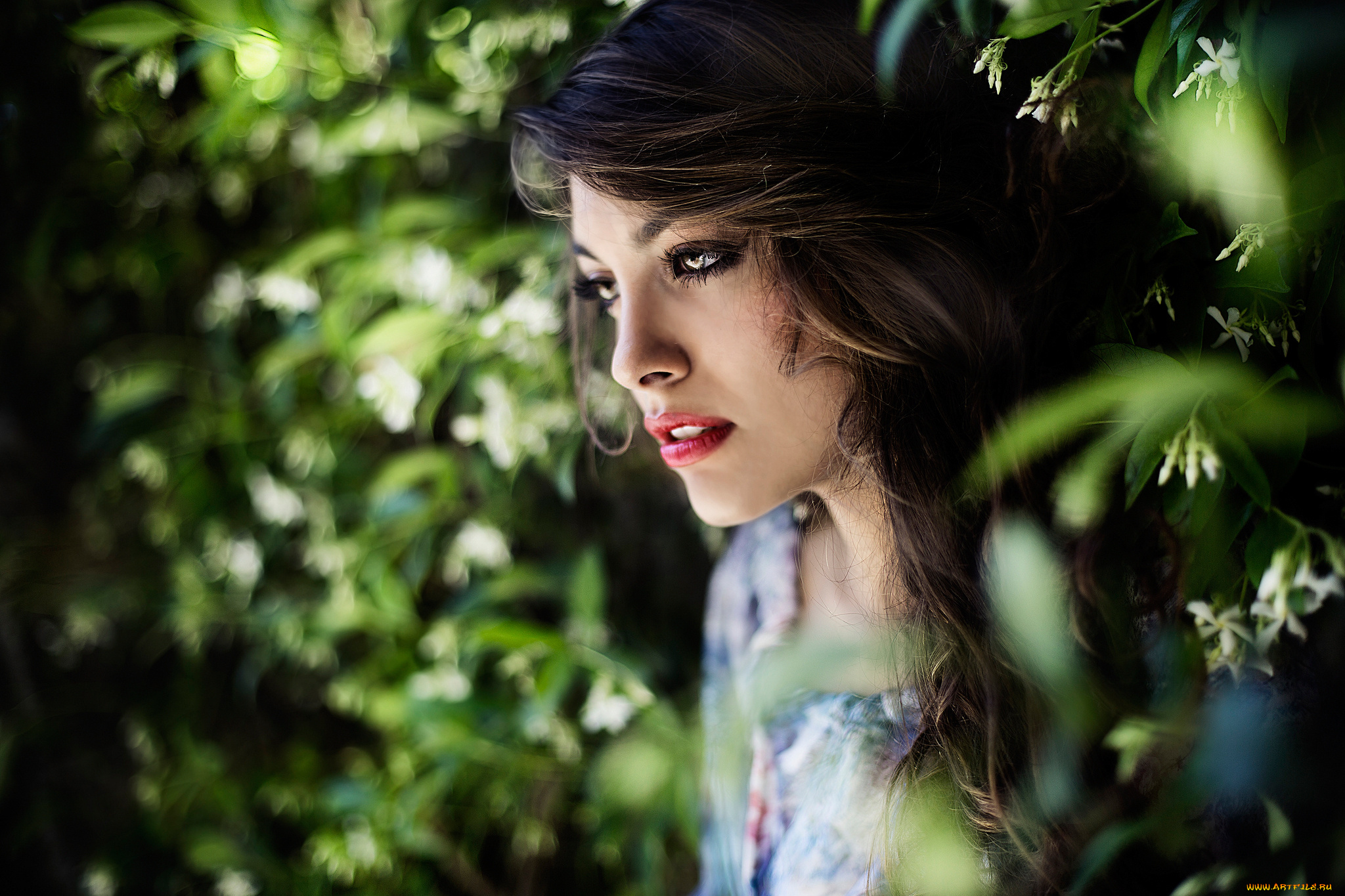 шикарная, брюнетка, девушки, -unsort, , лица, , портреты, голубка, красивая, брюнетка, шикарная, нежная