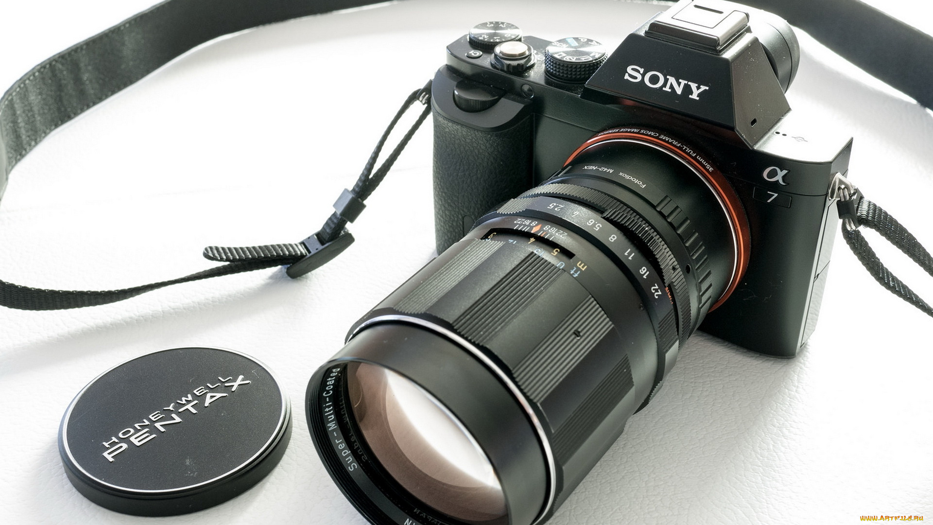 бренды, sony, фон, макро, камера