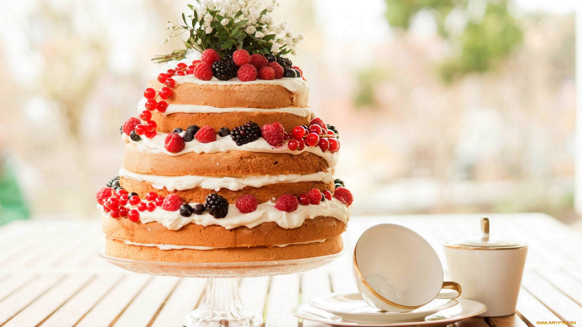 еда, пироги, dessert, cranberries, крем, десерт, черника, фрукты, сладкое, пирожное, торт