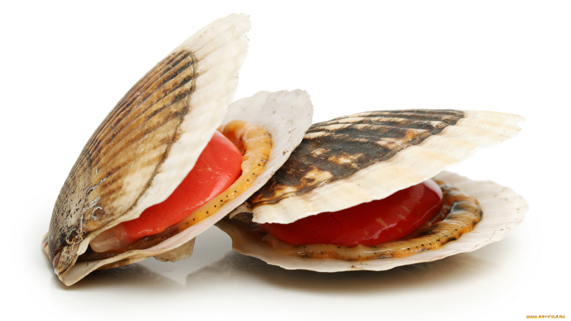 еда, рыба, , морепродукты, , суши, , роллы, ракушка, мидии, морепродукты