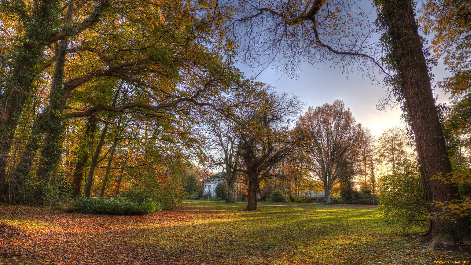 природа, парк, краски, осень
