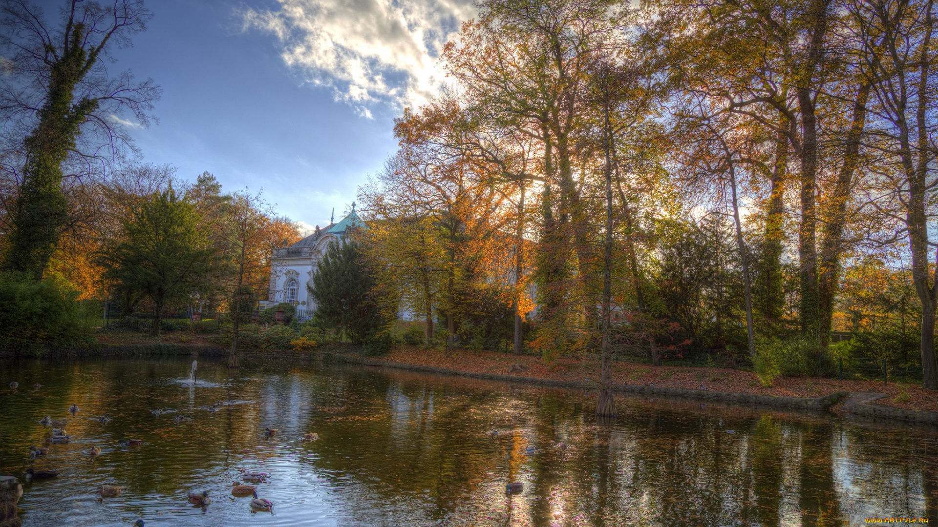 природа, парк, краски, осень