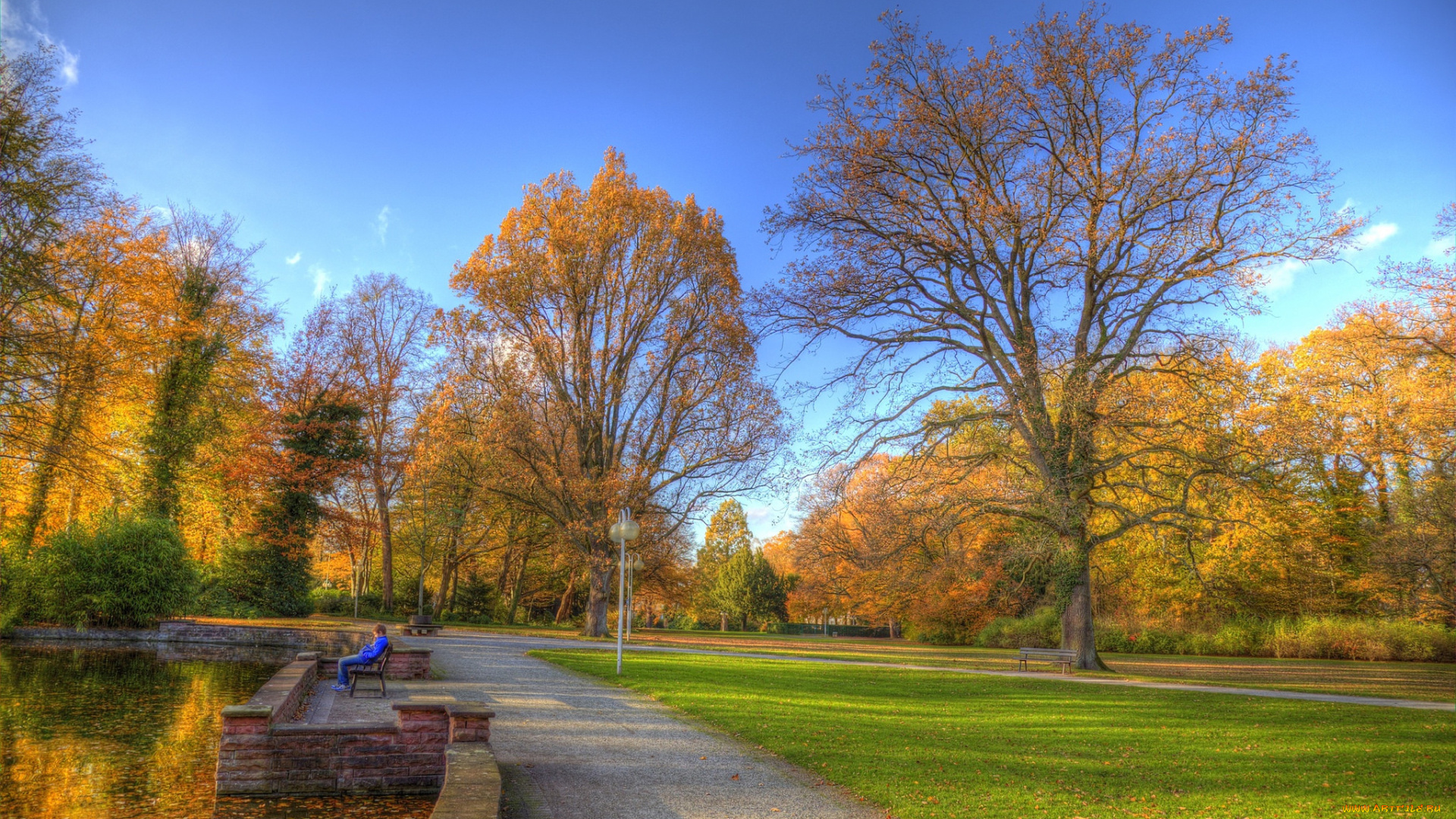 природа, парк, краски, осень