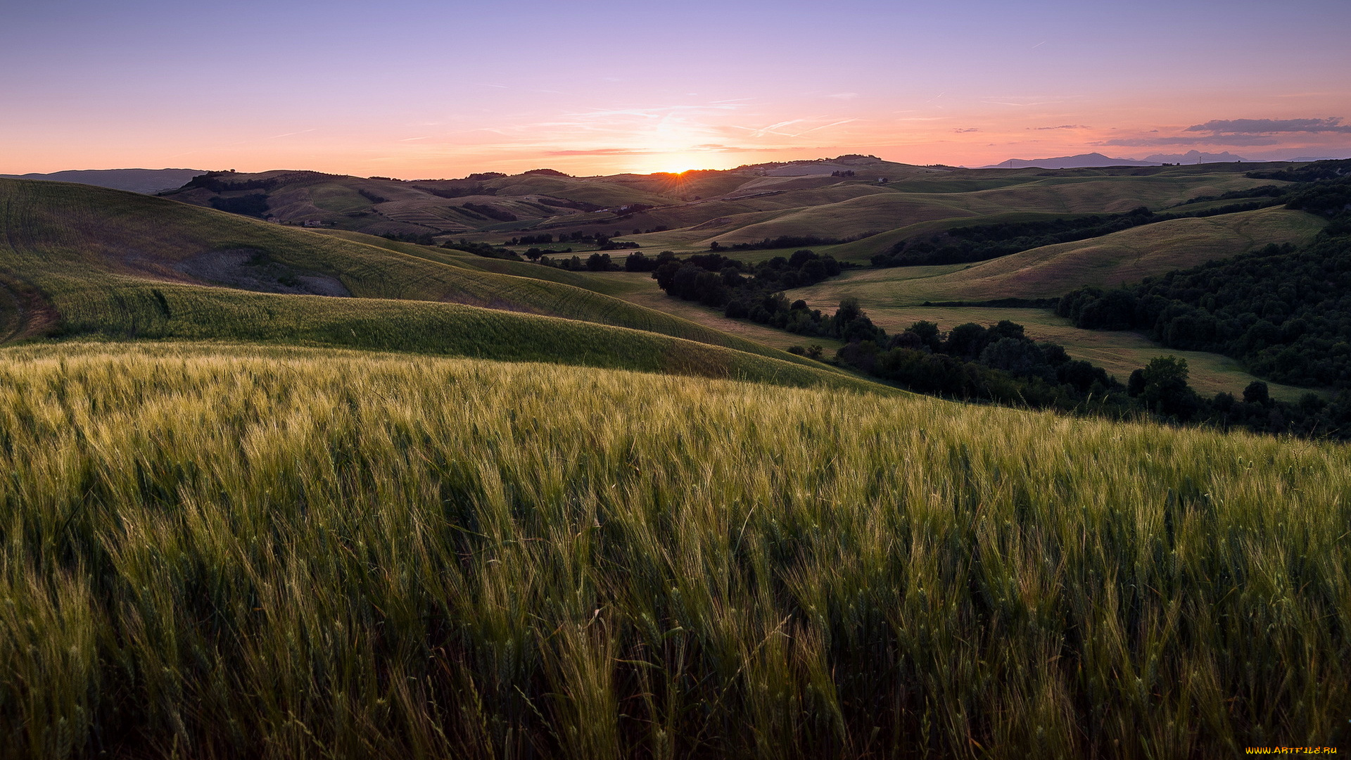 природа, поля, поле, tuscany, volterra, закат
