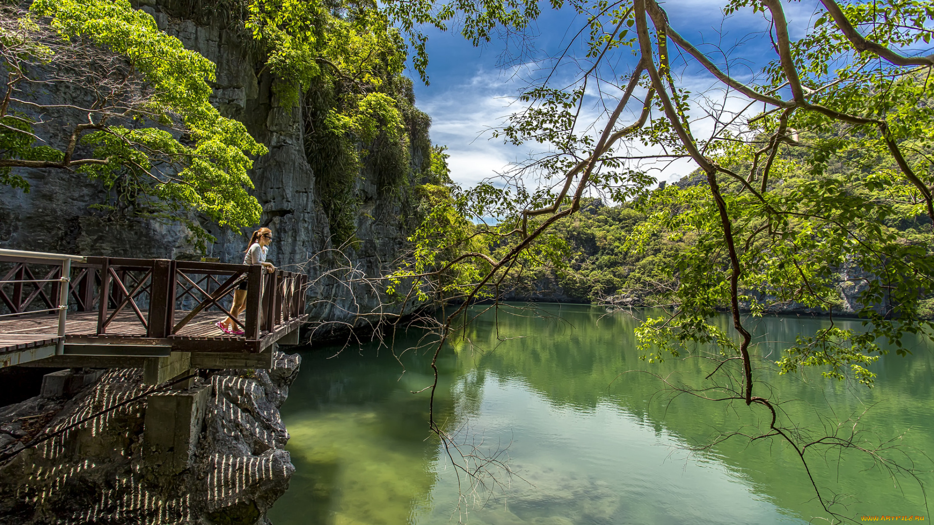 природа, реки, озера, лес, мостик, река