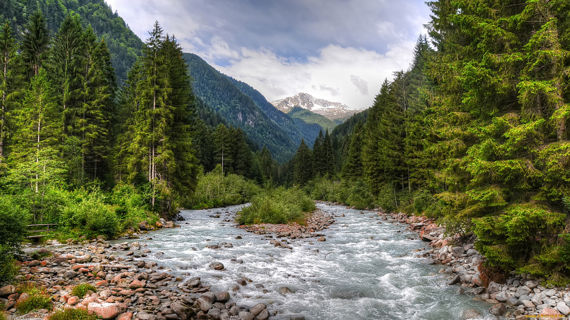 природа, реки, озера, река, лес, горы