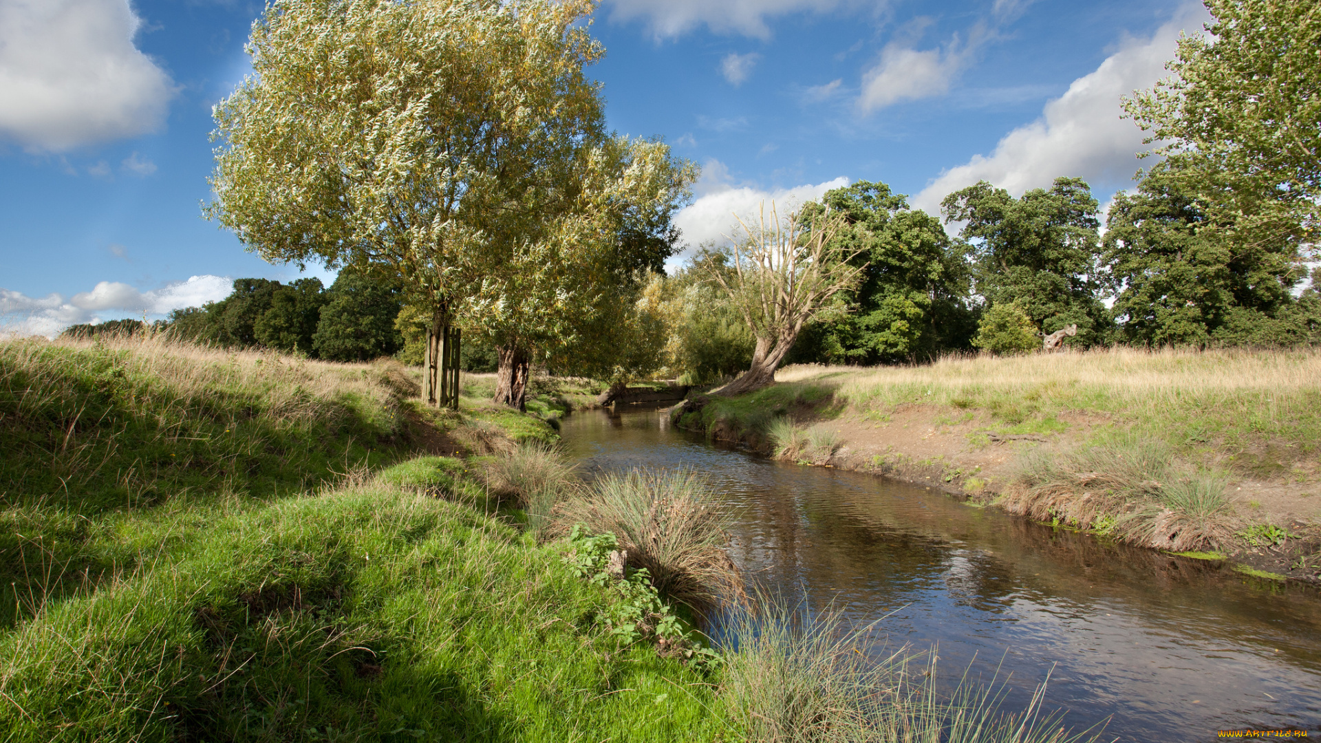 природа, реки, озера, река, лес, облака