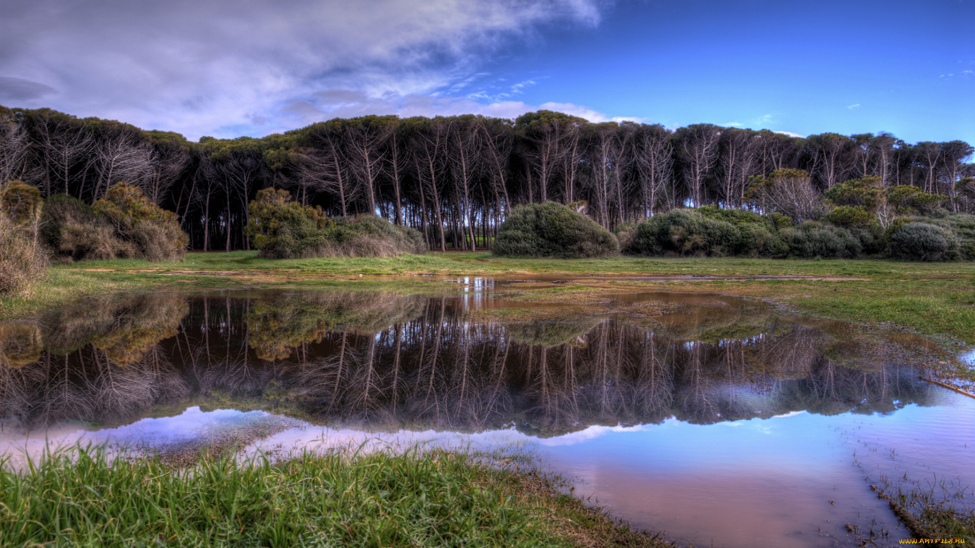 природа, реки, озера, река, отражение, деревья