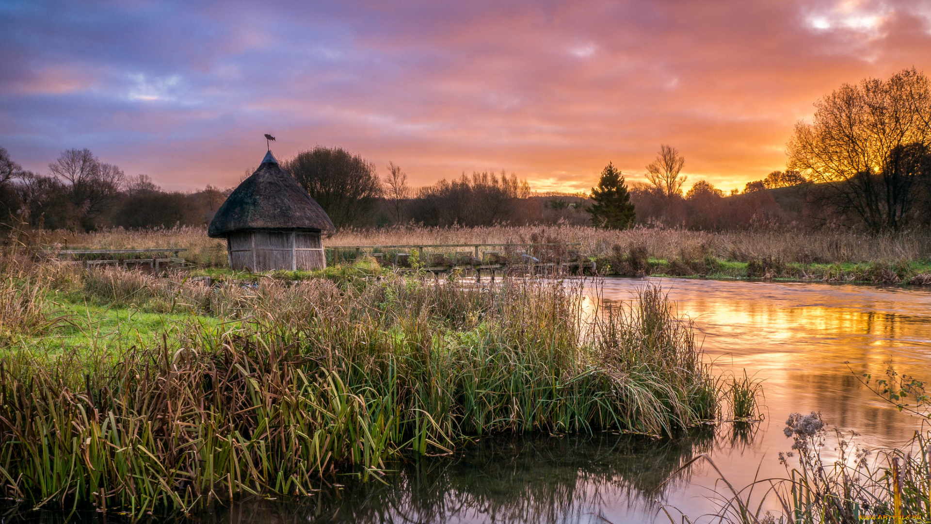 природа, реки, озера, река, зарево, тучи, камыш