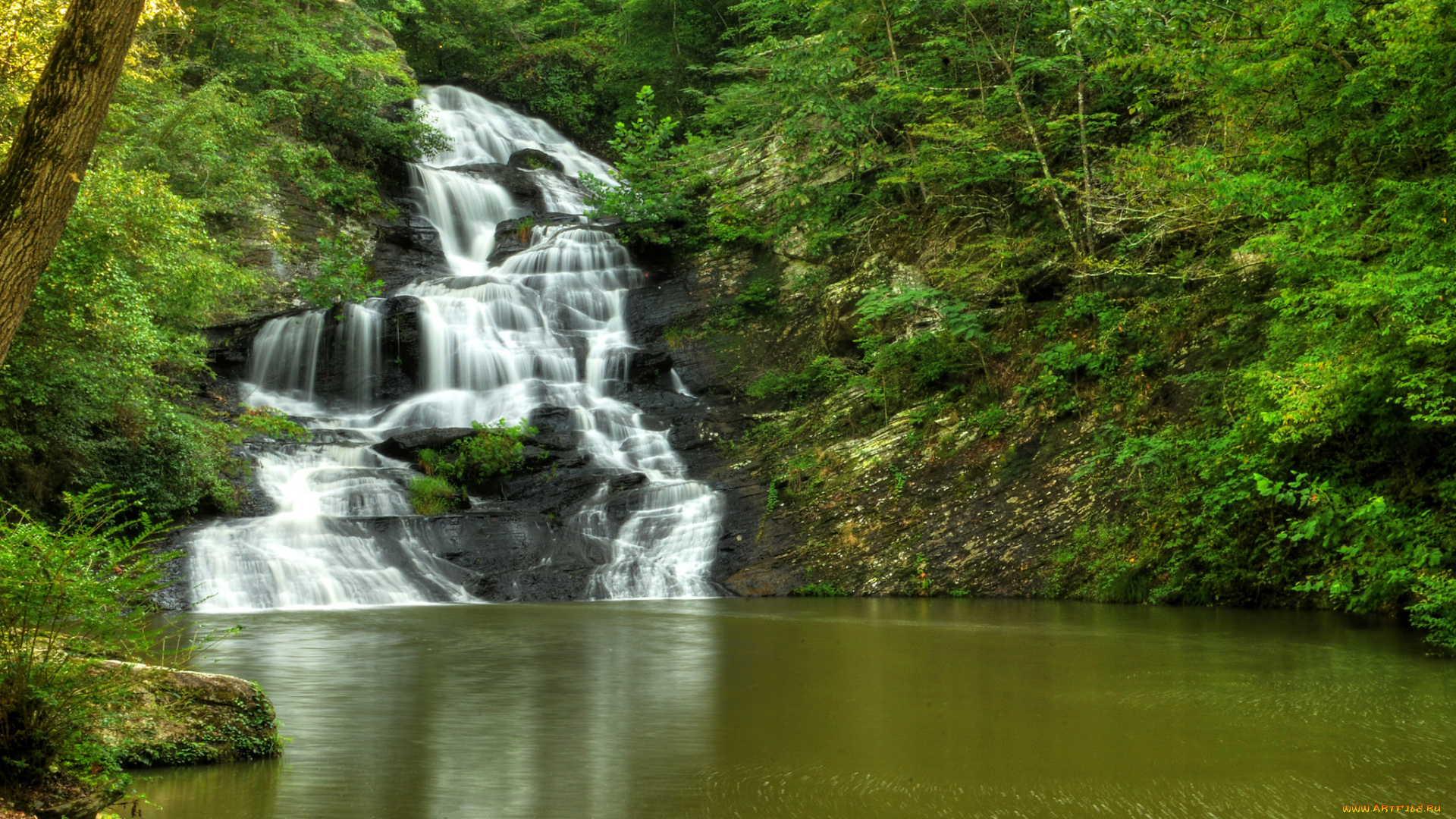 природа, водопады, лес, река, водопад