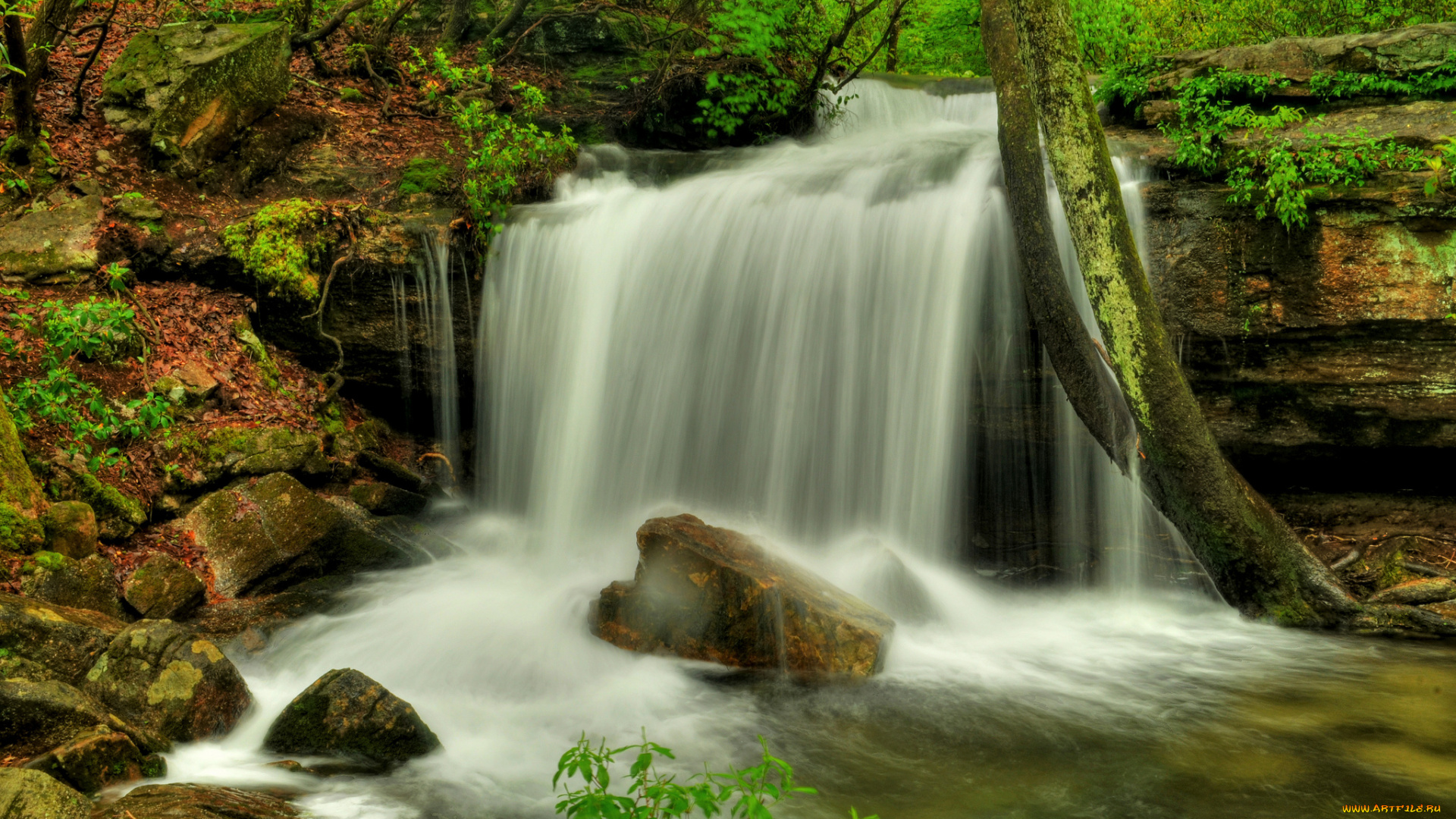 природа, водопады, лес, река, водопад