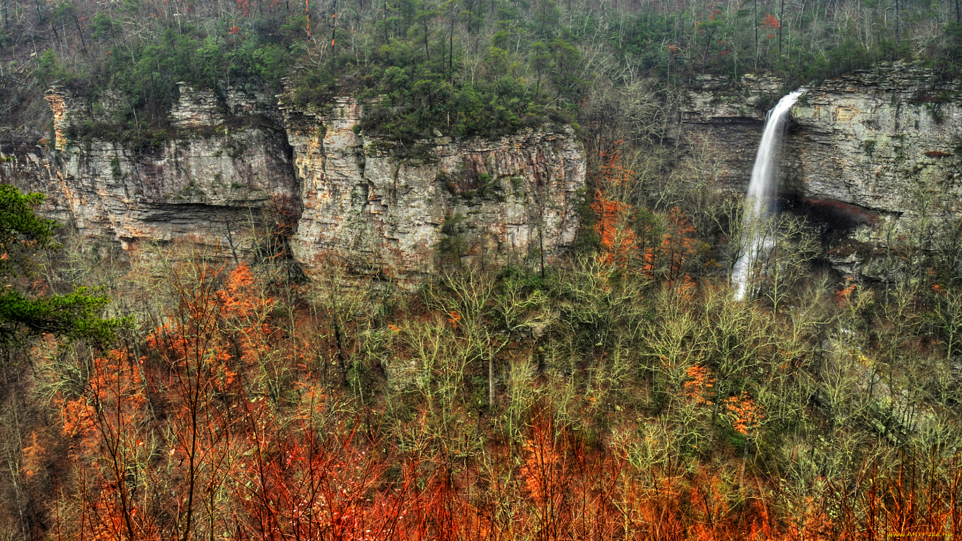 природа, водопады, лес, река, водопад