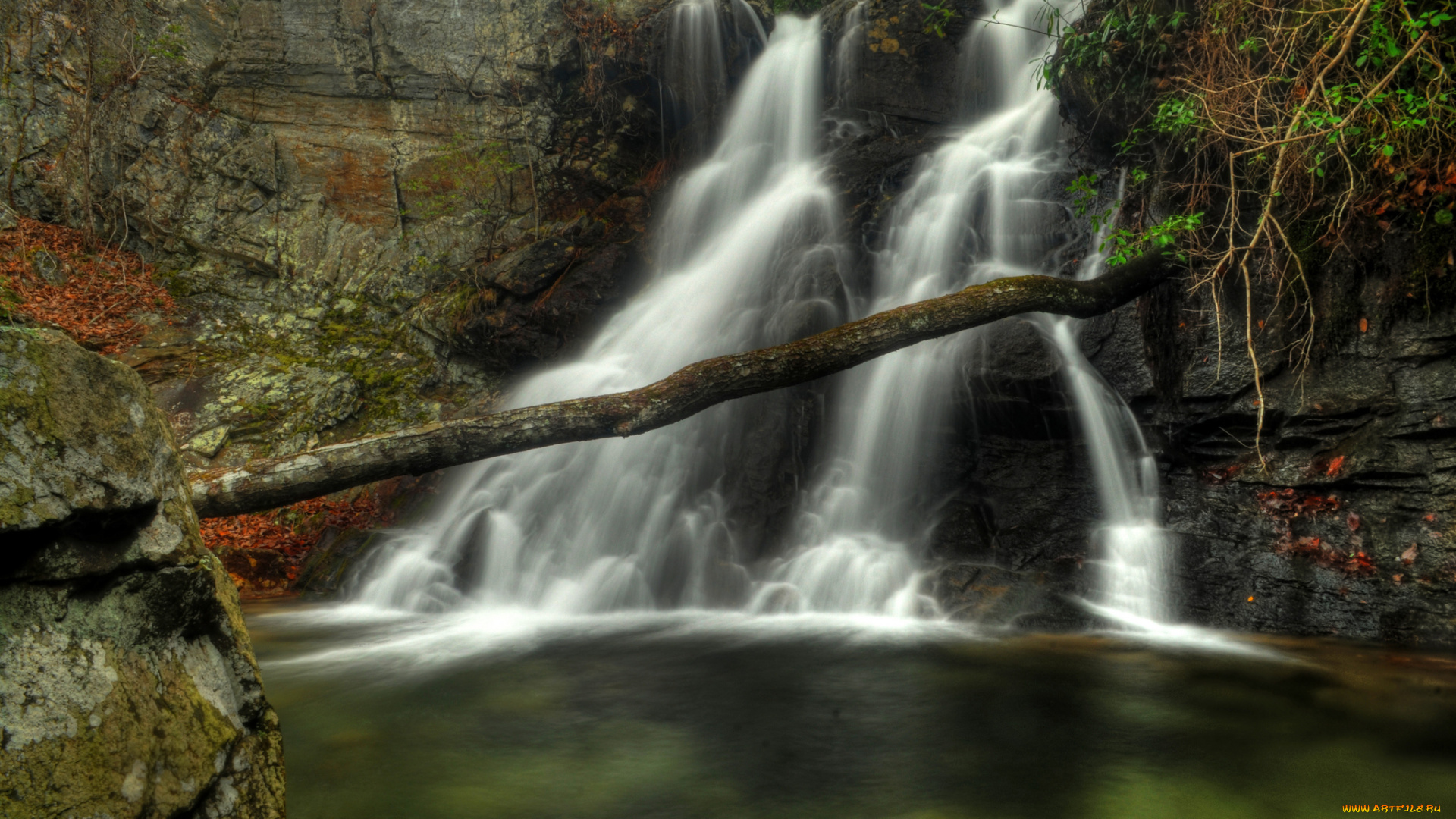 природа, водопады, лес, река, водопад