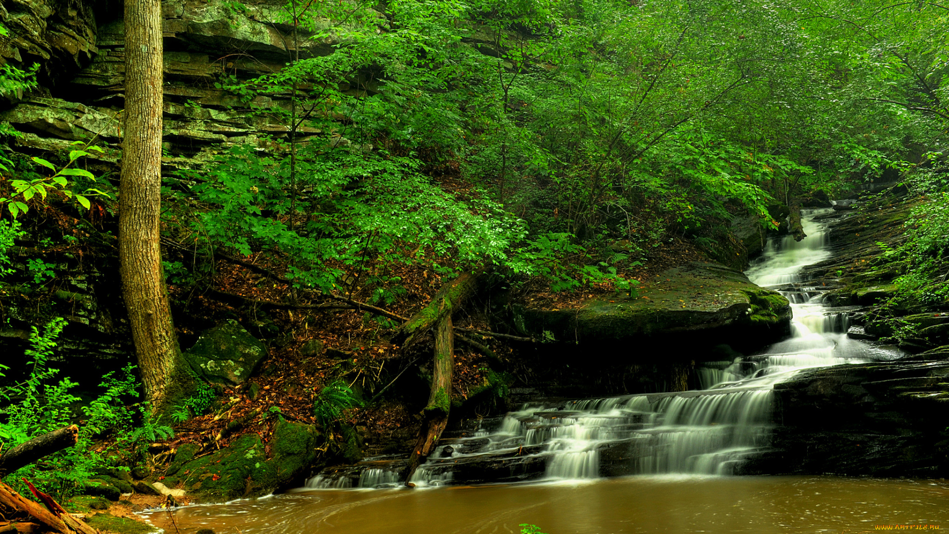 природа, водопады, лес, водопад, река