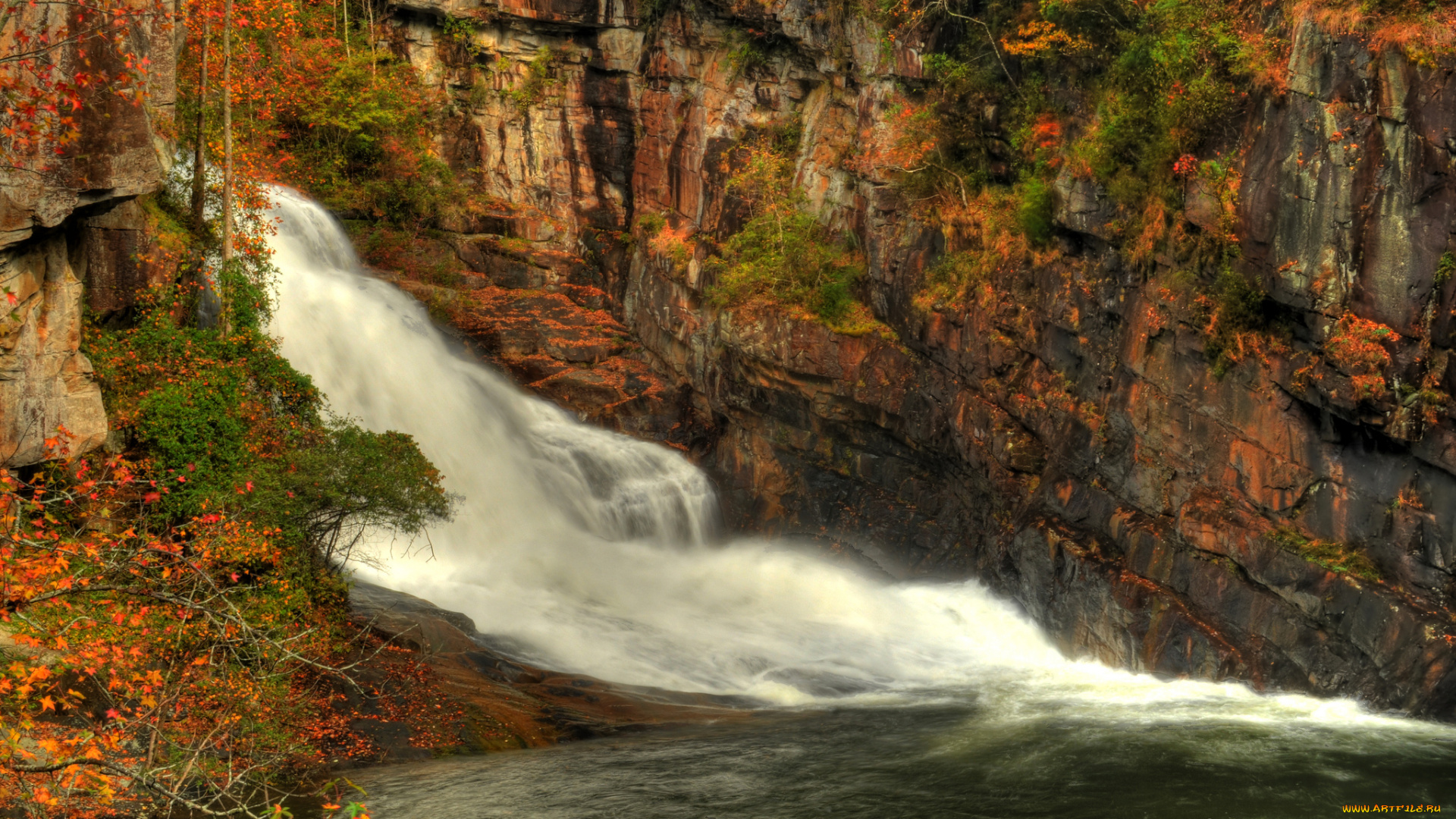 природа, водопады, лес, водопад, река