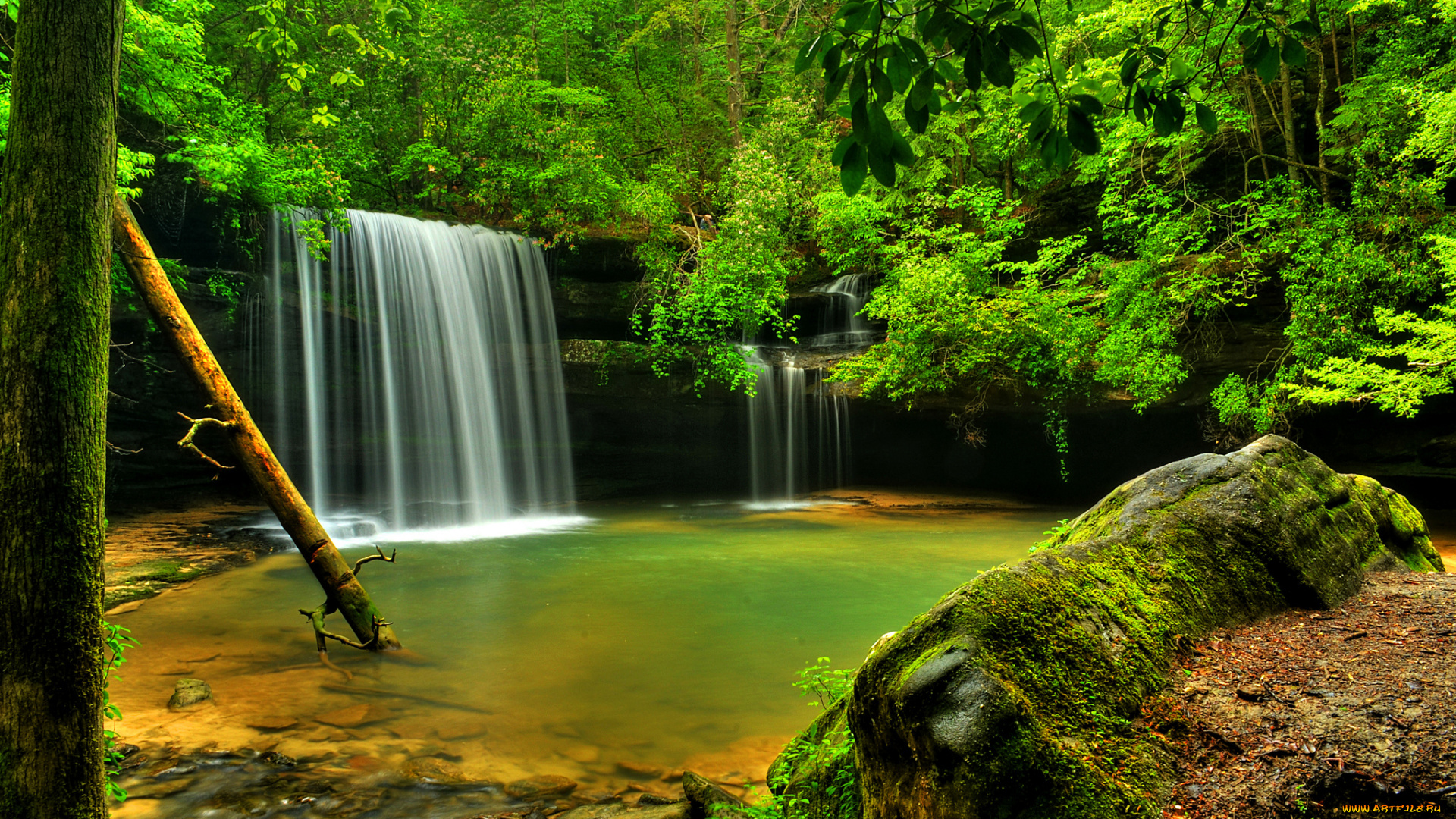 природа, водопады, водопад, лес, река