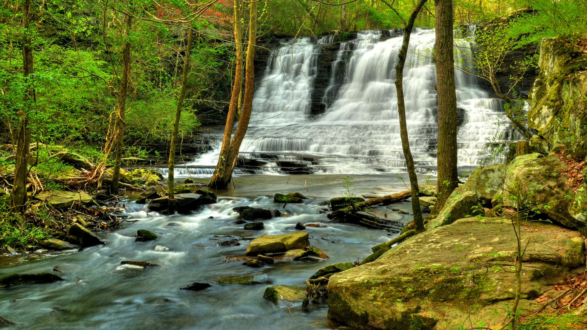 природа, водопады, водопад, река, лес
