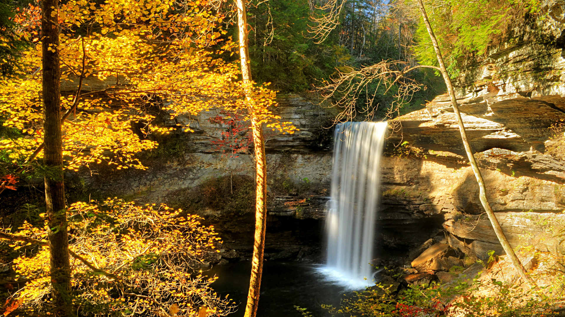 природа, водопады, водопад, река, лес