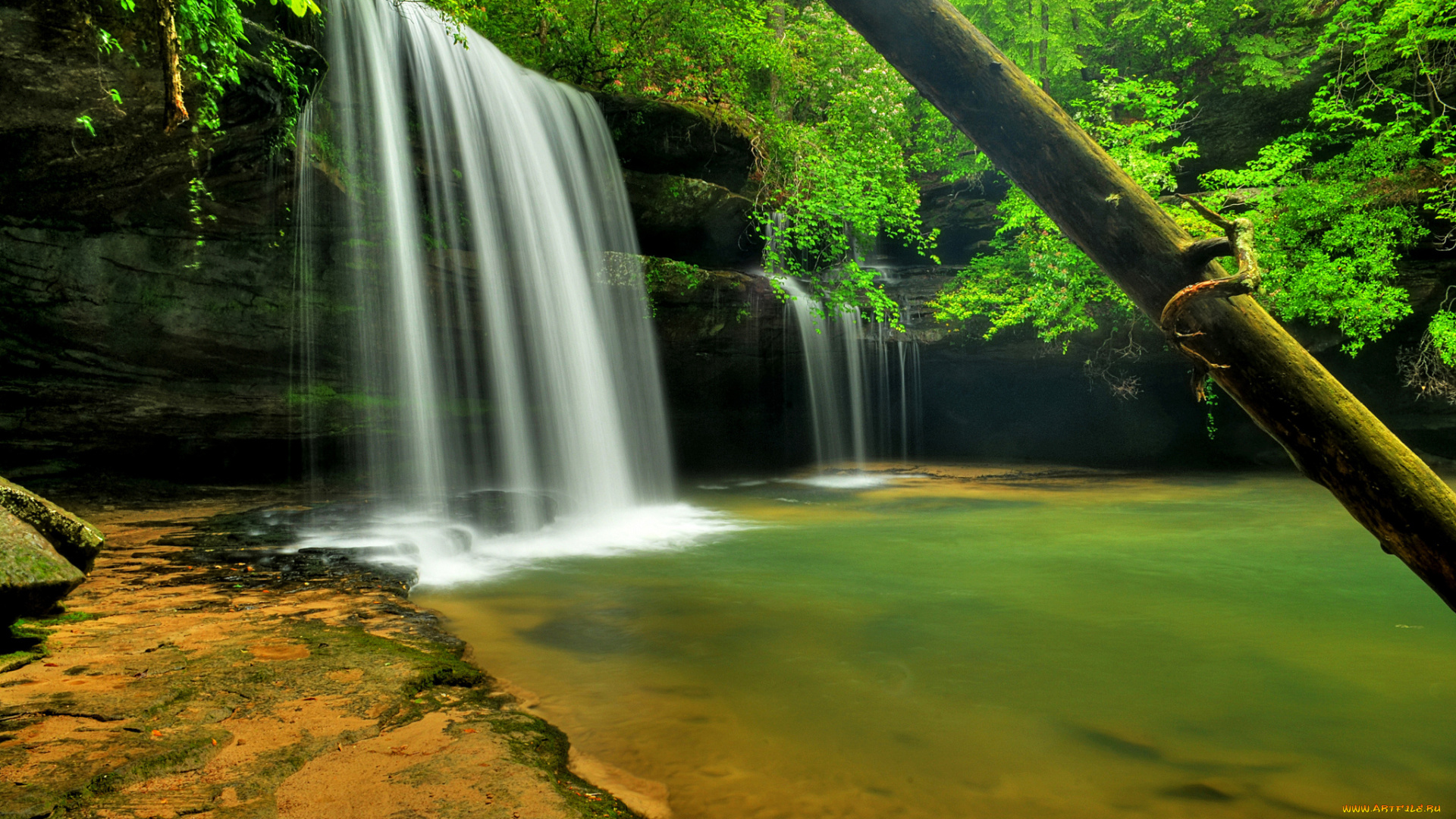 природа, водопады, водопад, река, лес