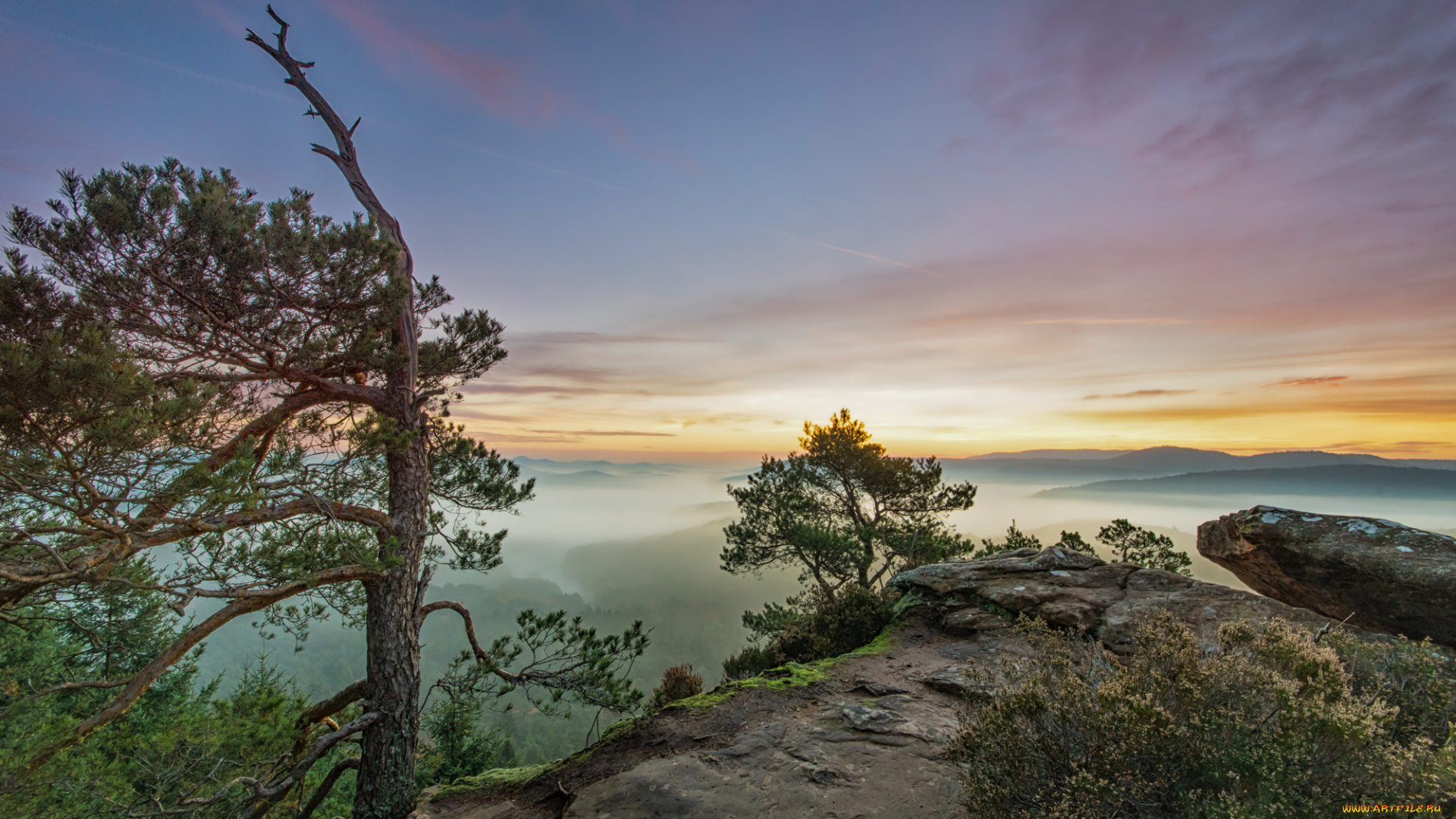 природа, восходы, закаты, туман, заря, лес, горы