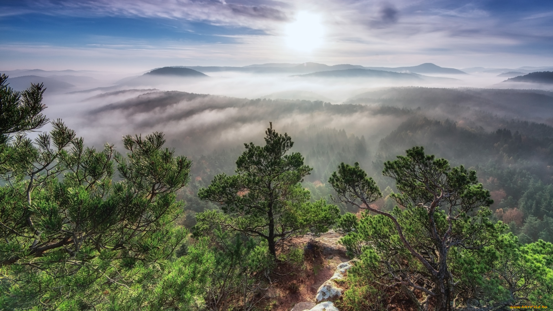 природа, восходы, закаты, заря, туман, лес, горы