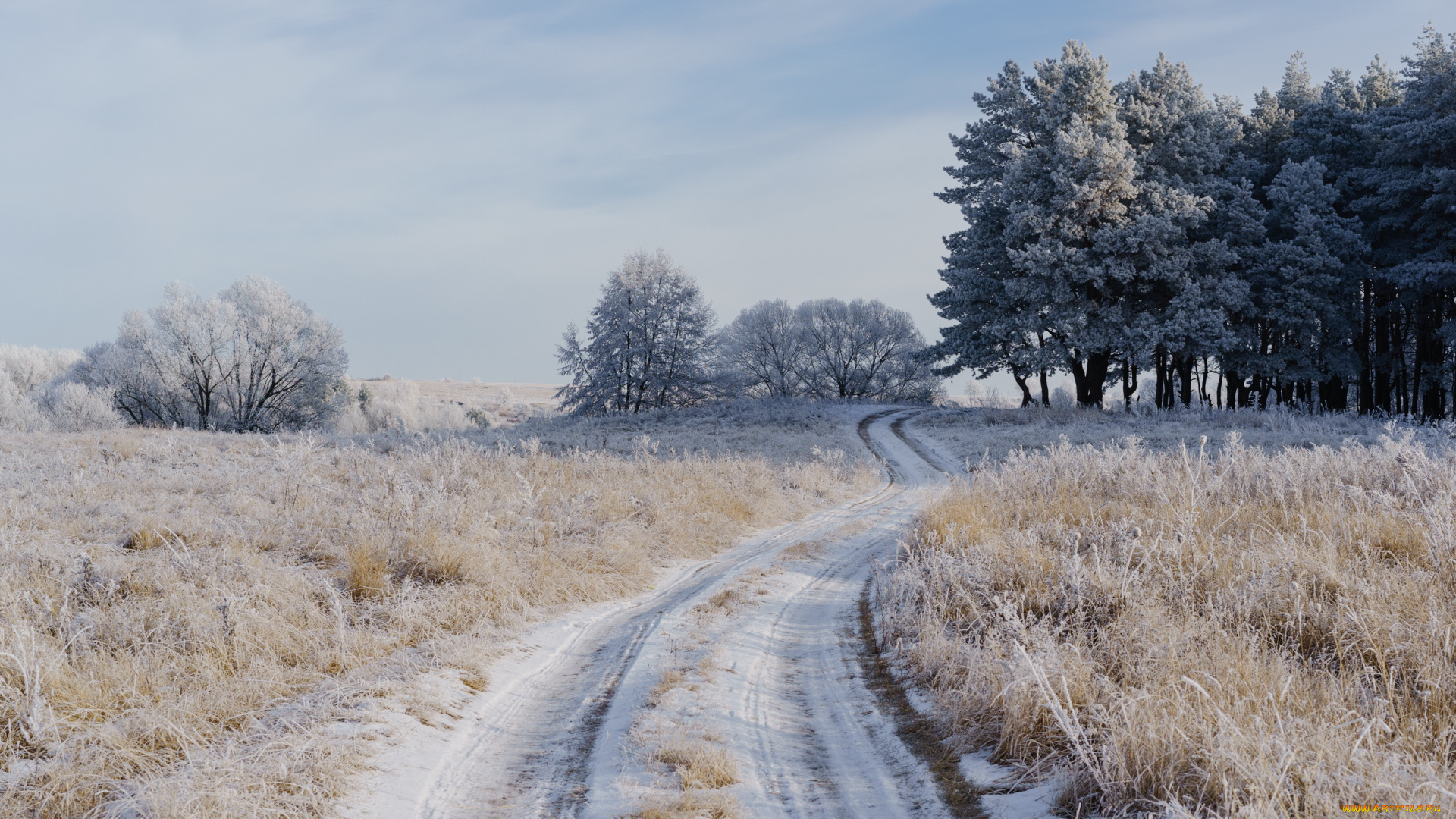 природа, зима, дорога, поле, иней