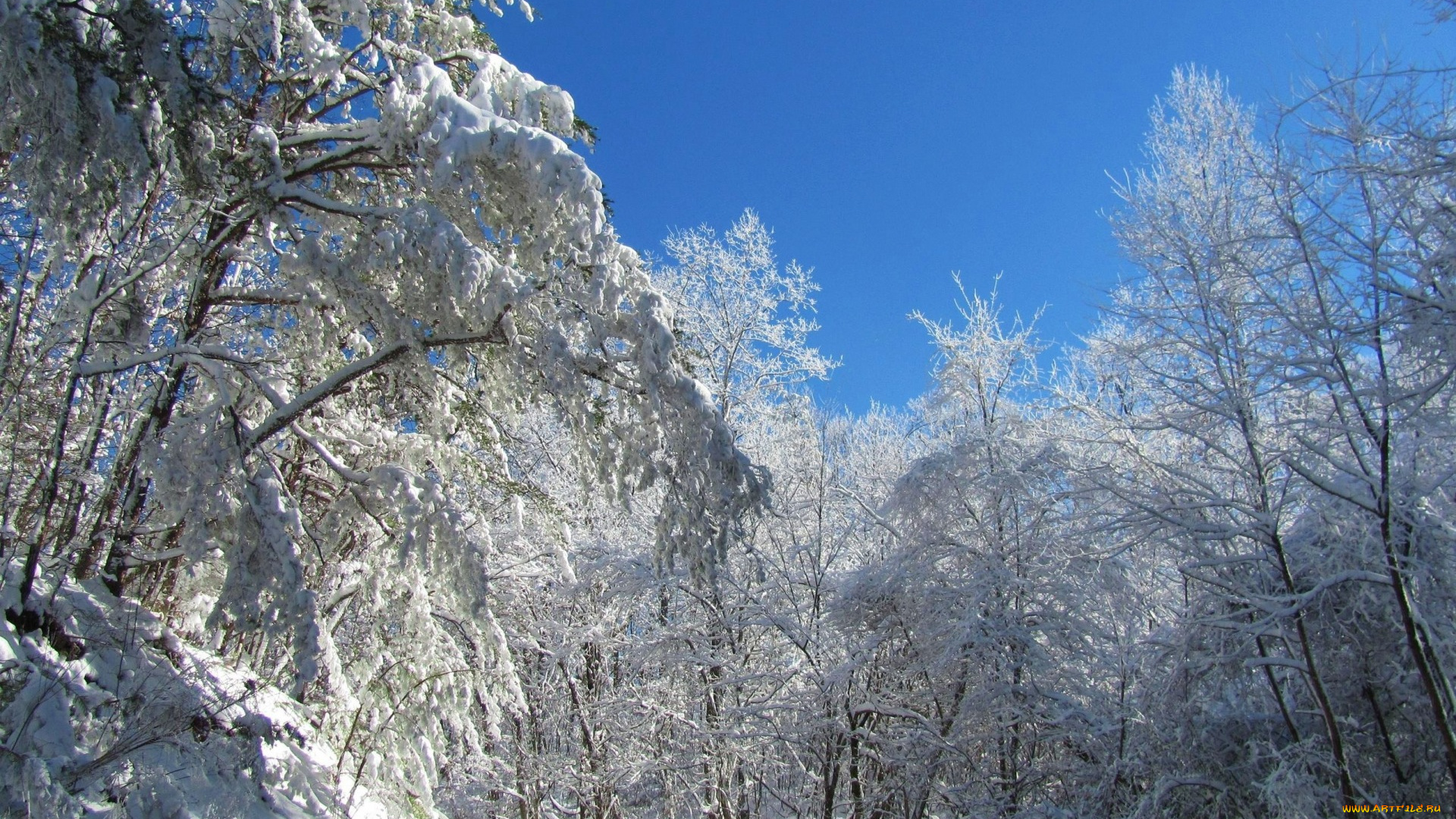 природа, зима, снег, дорога