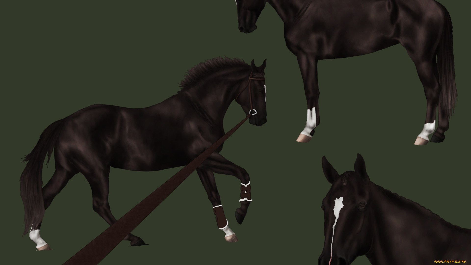 рисованное, животные, , лошади, фон, лошади