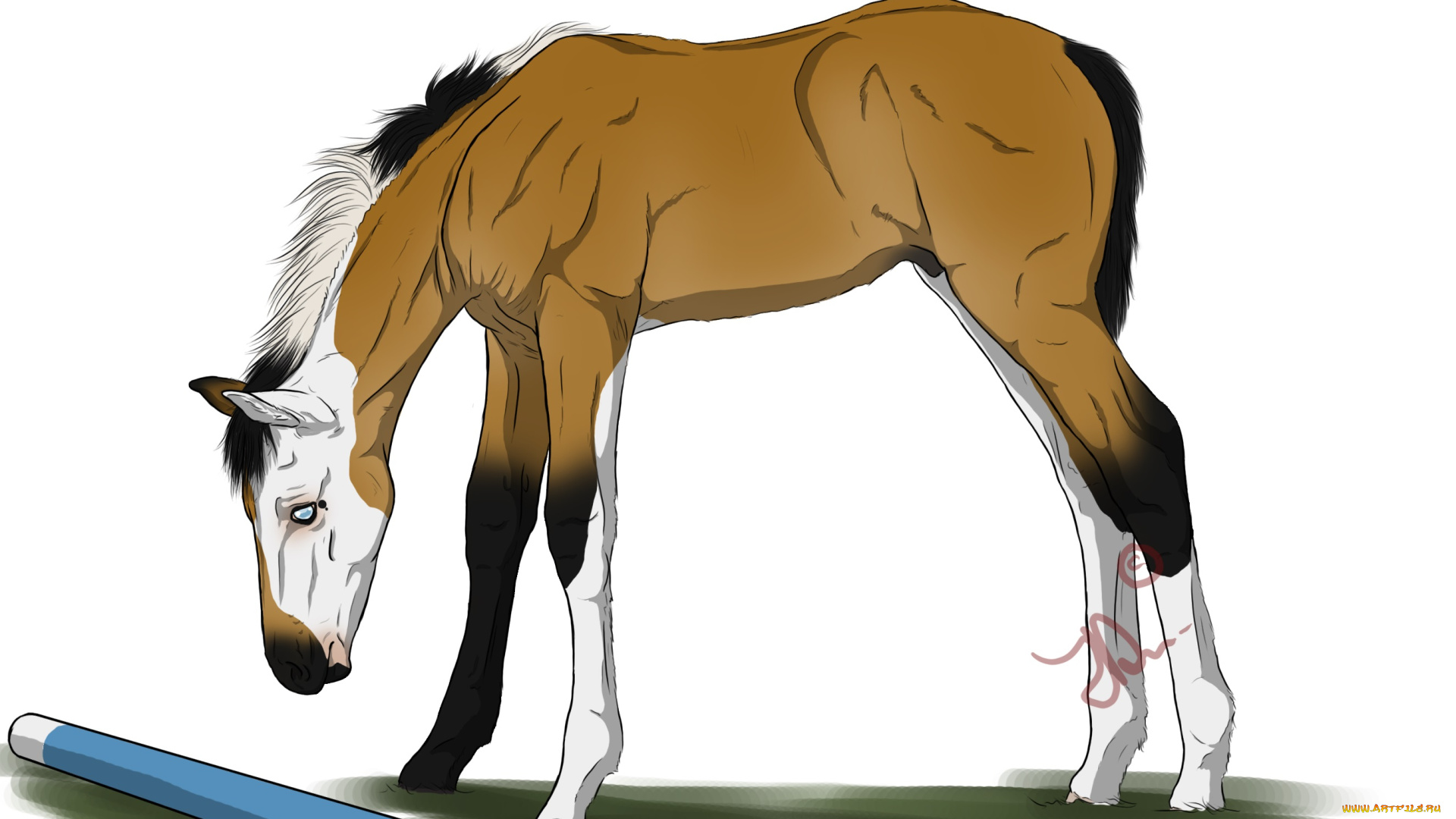 рисованное, животные, , лошади, грива, взгляд, фон, лошадка