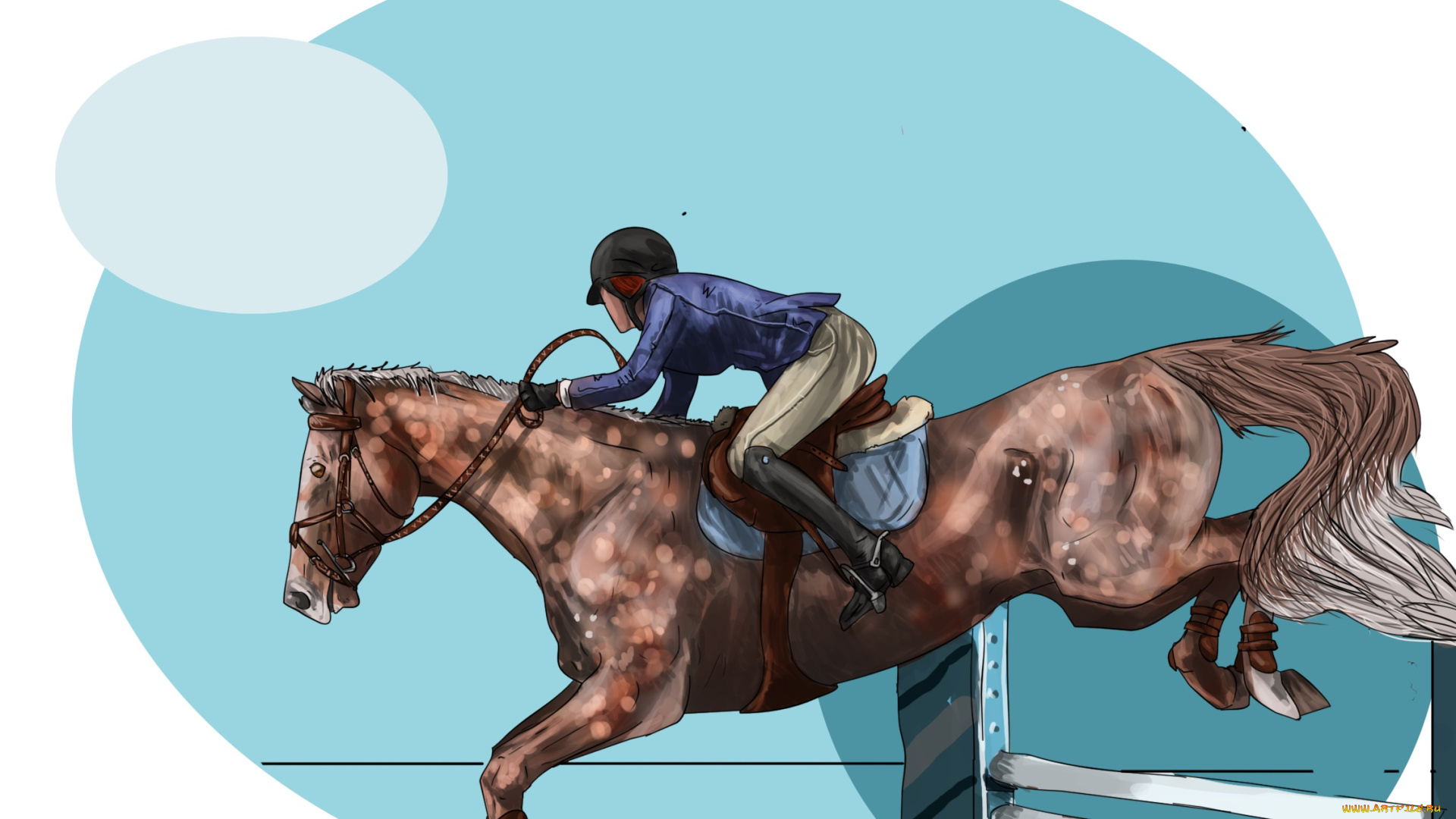 рисованное, животные, , лошади, лошадь, всадник, соревнования