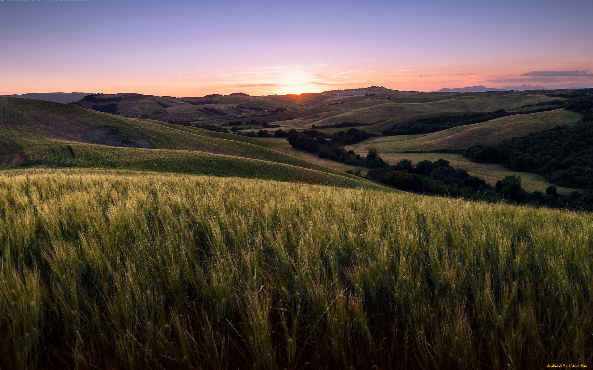 природа, поля, поле, tuscany, volterra, закат