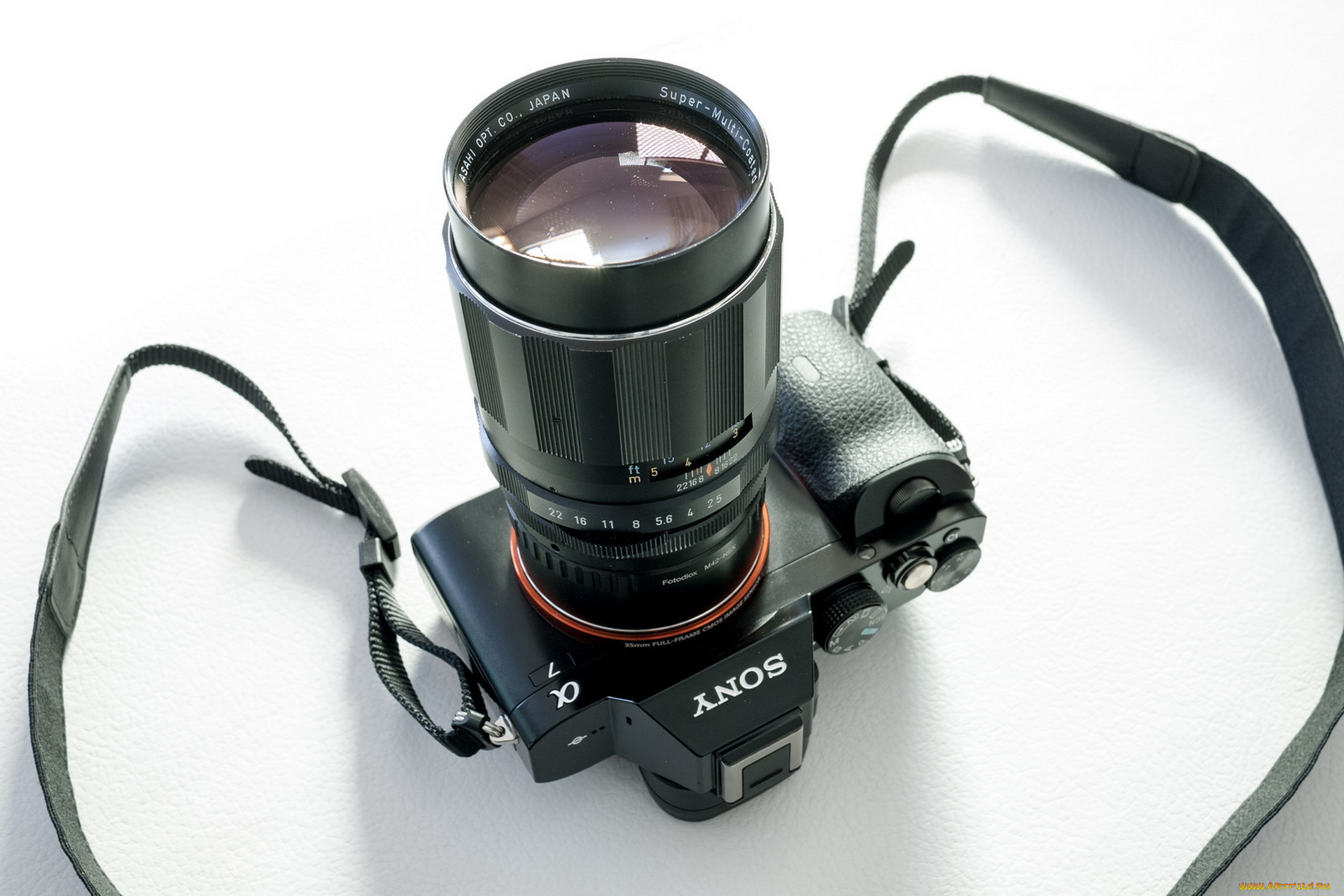 бренды, sony, макро, камера, фон