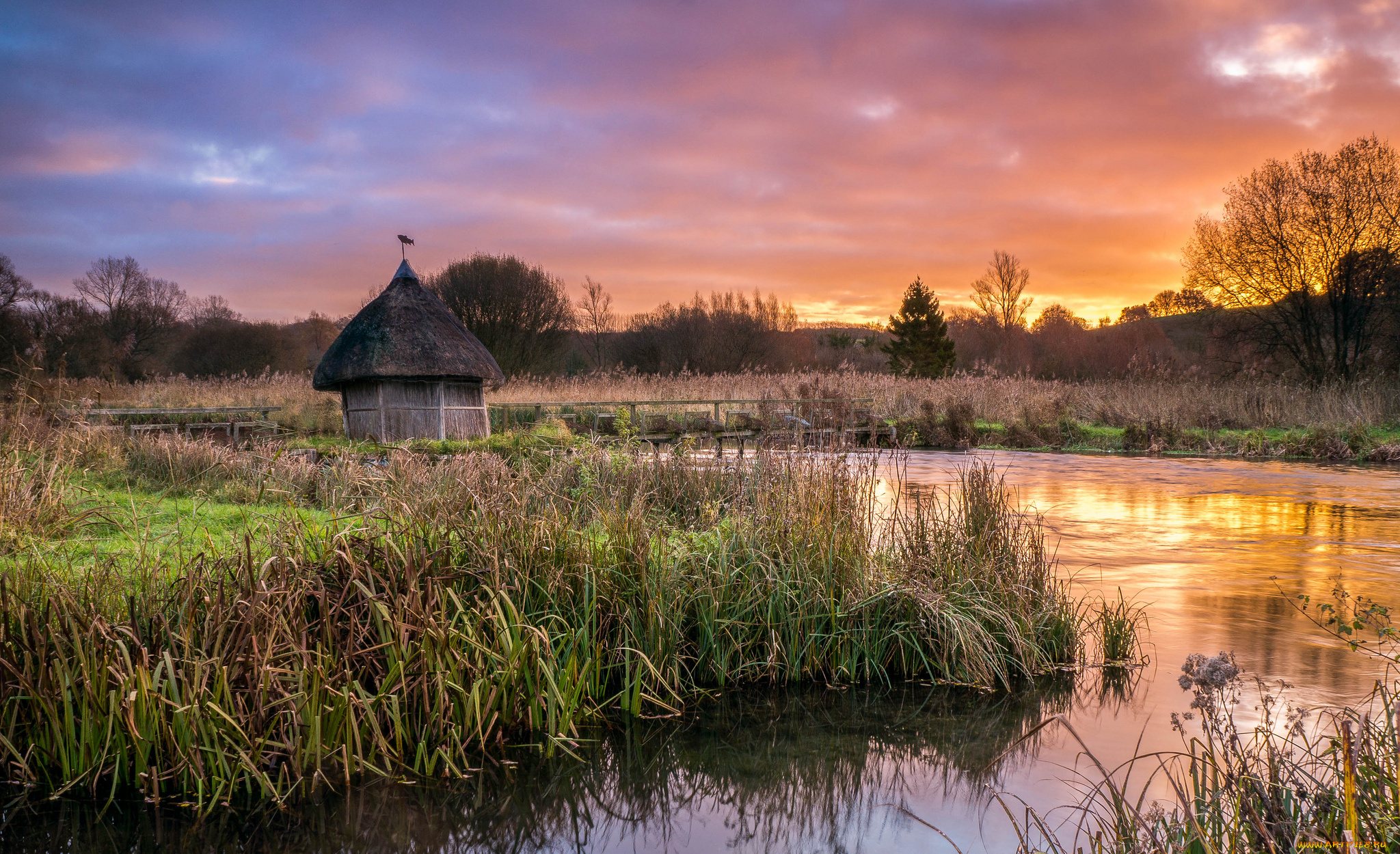 природа, реки, озера, река, зарево, тучи, камыш
